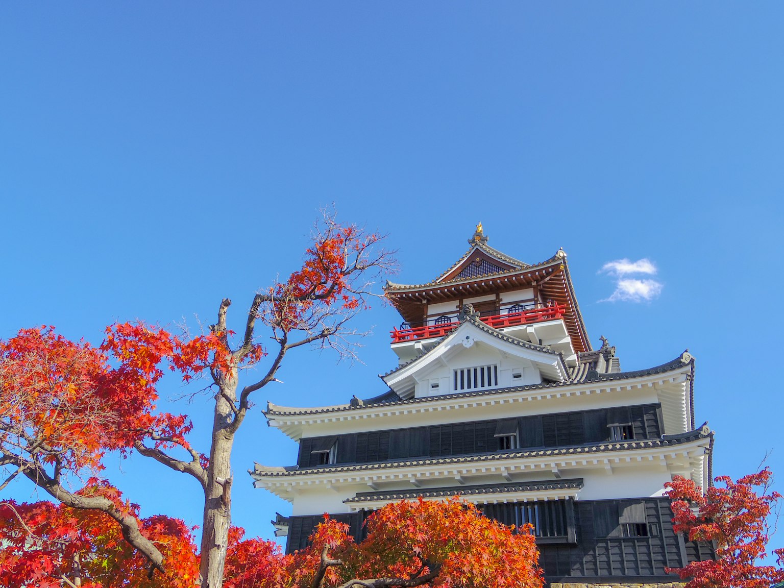 Castillo japonés tradicional bajo el follaje otoñal y el cielo azul