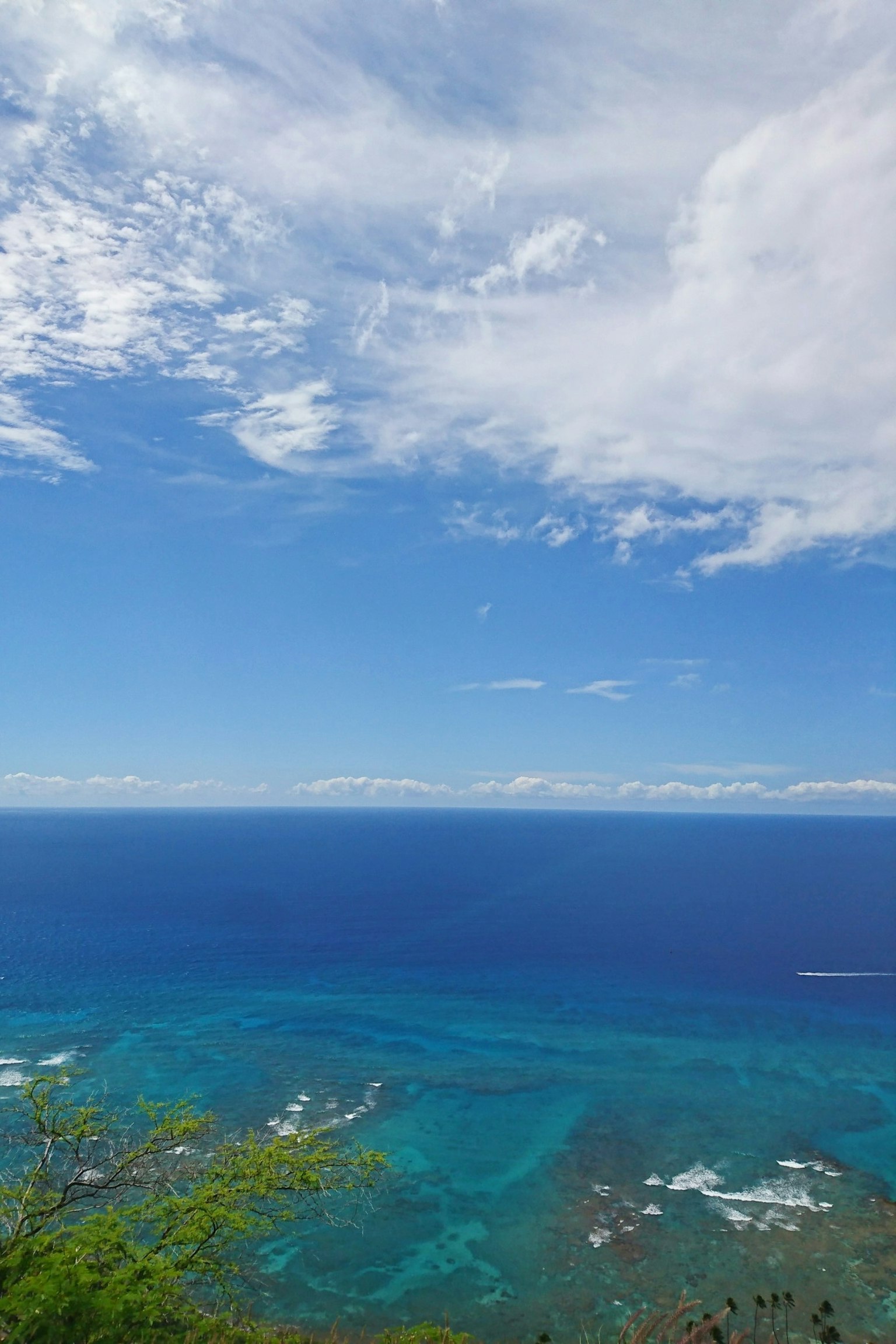 Vaste océan bleu et ciel avec de la végétation verte au premier plan