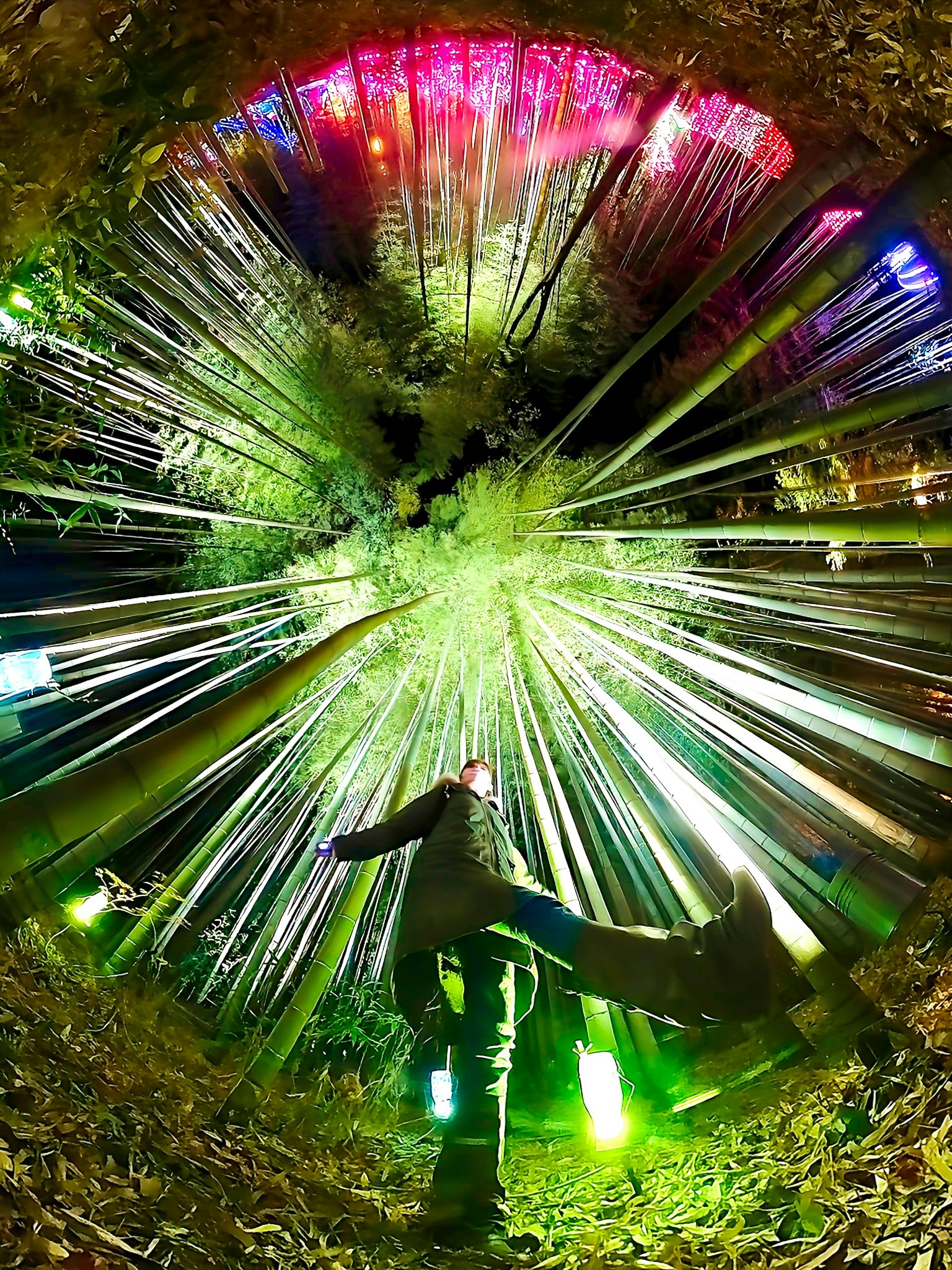 Una persona in piedi in una foresta fantastica con raggi di luce vibranti che si irradiano verso l'esterno