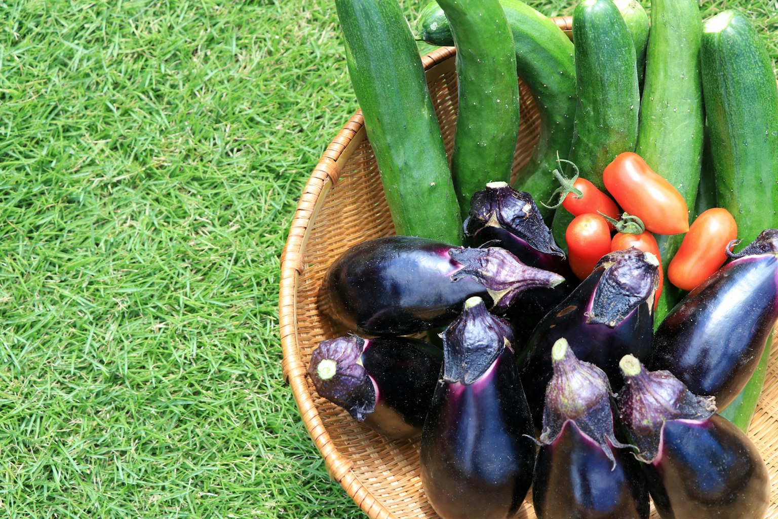 Ein Korb voller frischer Auberginen Zucchini und Kirschtomaten auf grünem Gras