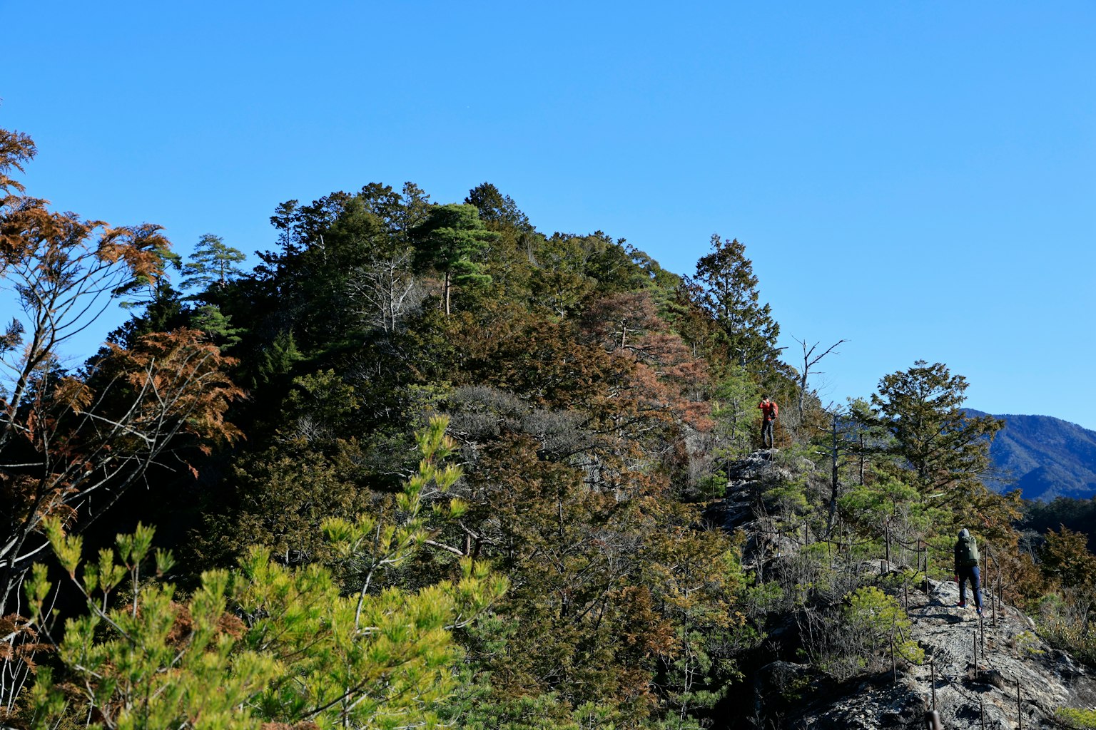 藍天下的鬱鬱蔥蔥山景和登山者