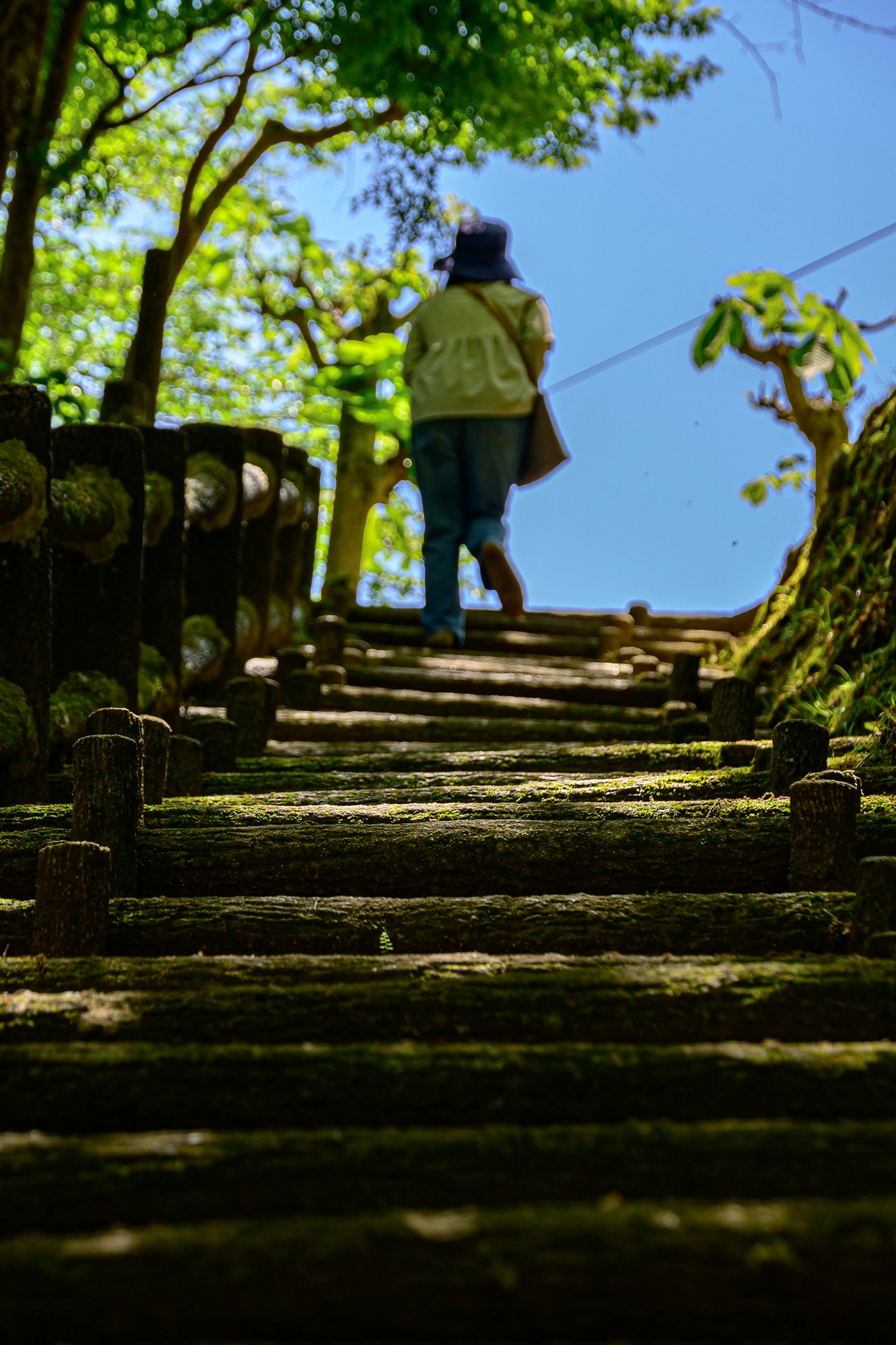 Person walking up a wooden staircase surrounded by greenery blue sky