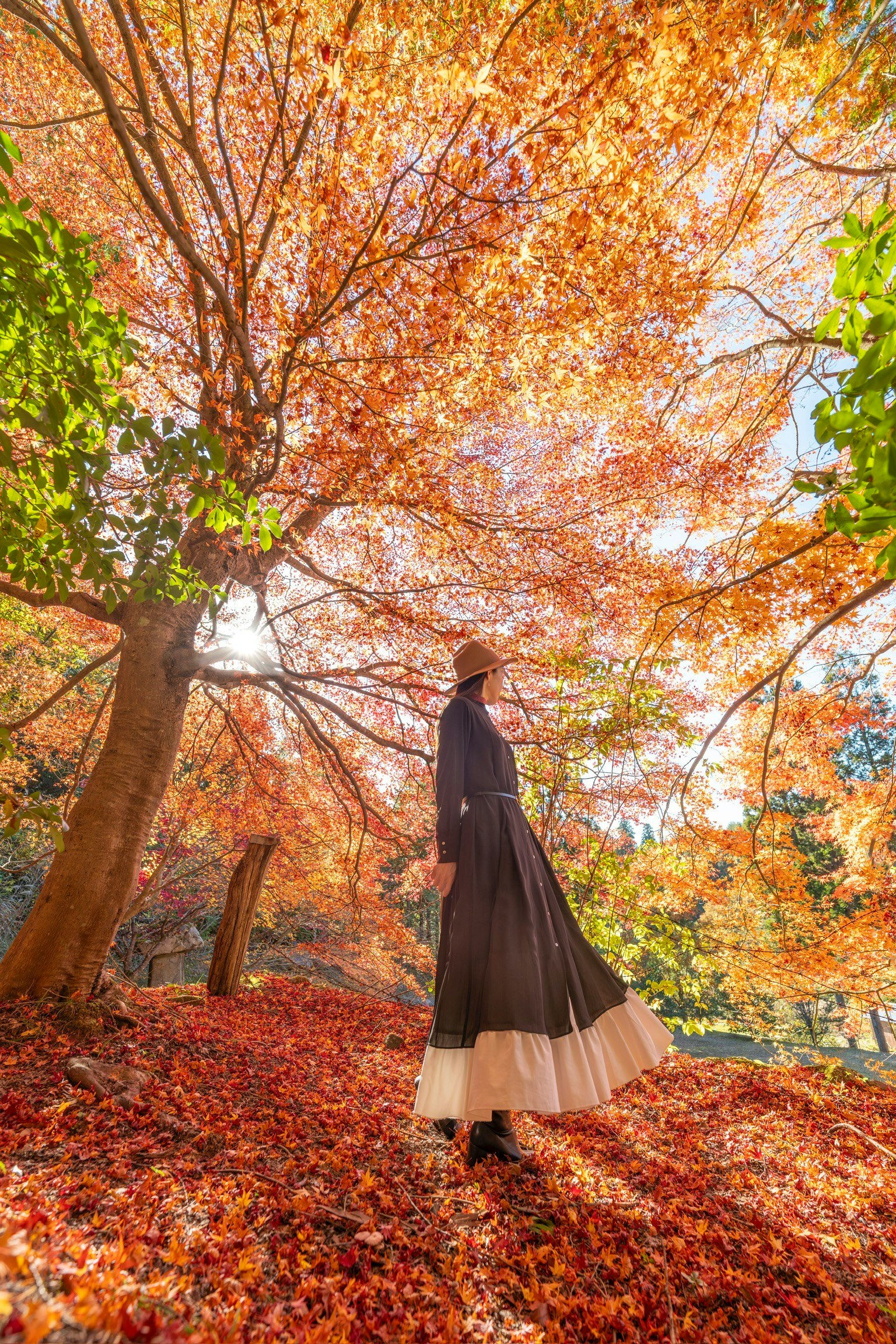 秋の紅葉の中で立つ女性のシルエット 色とりどりの葉が舞い散る美しい風景