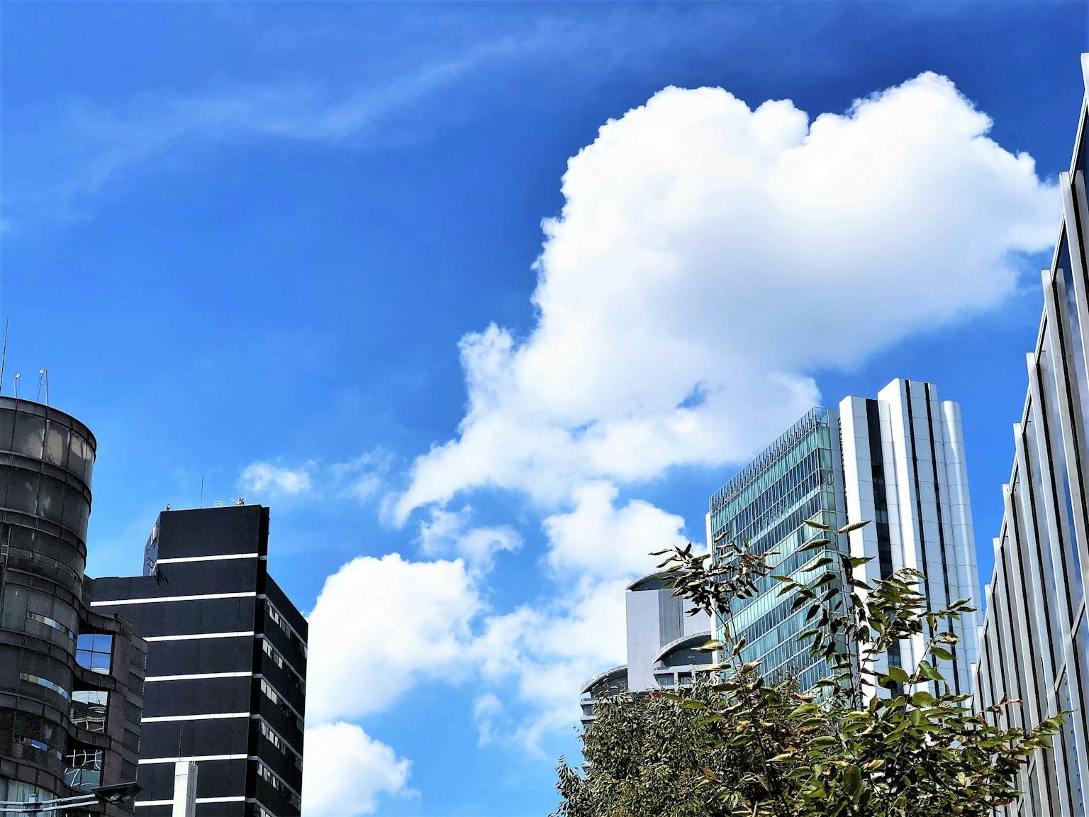 ทิวทัศน์เมืองที่มีท้องฟ้าสีฟ้าและเมฆสีขาวมีตึกสูงและสถาปัตยกรรมสมัยใหม่