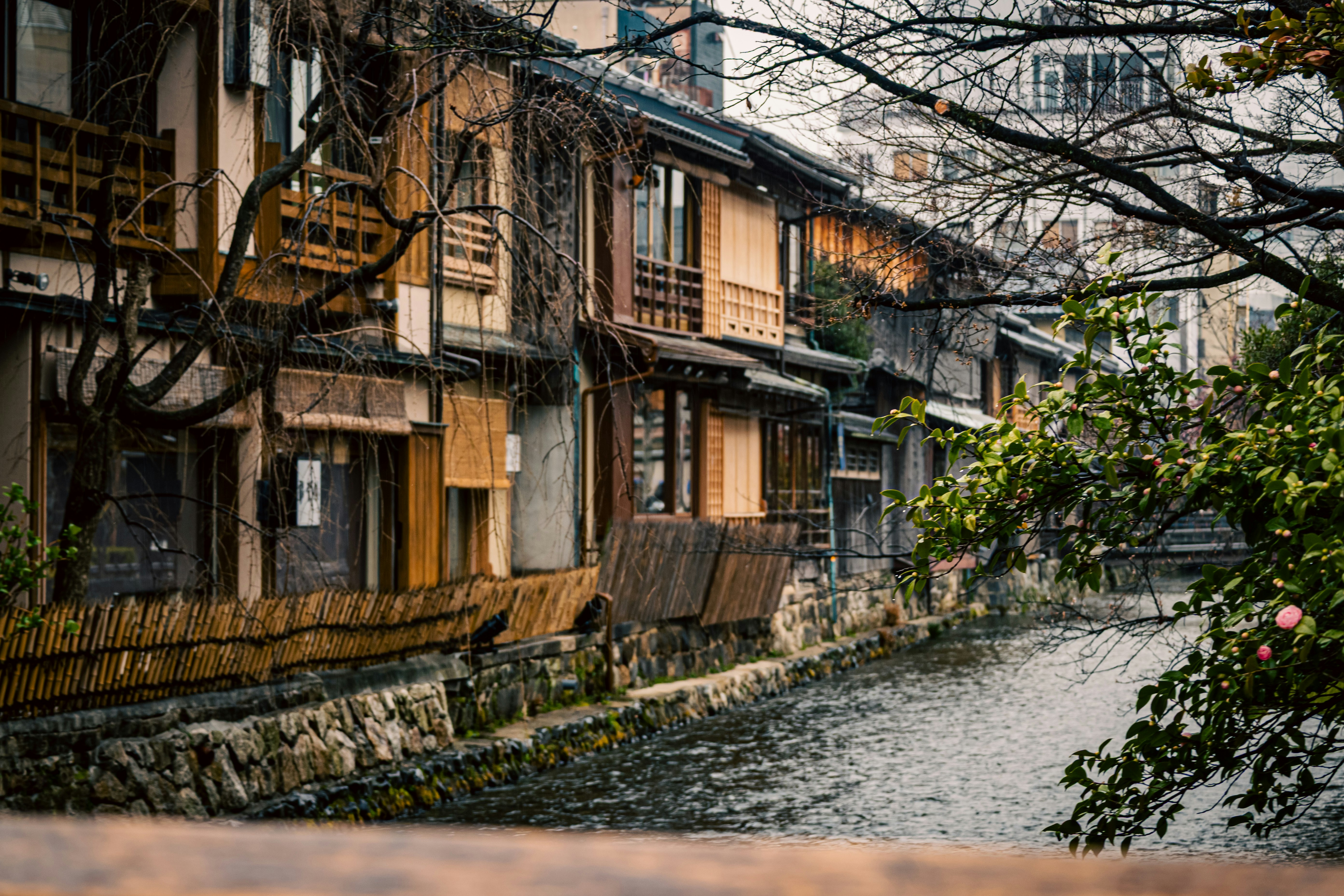 川沿いの石垣と古い町並みの路地