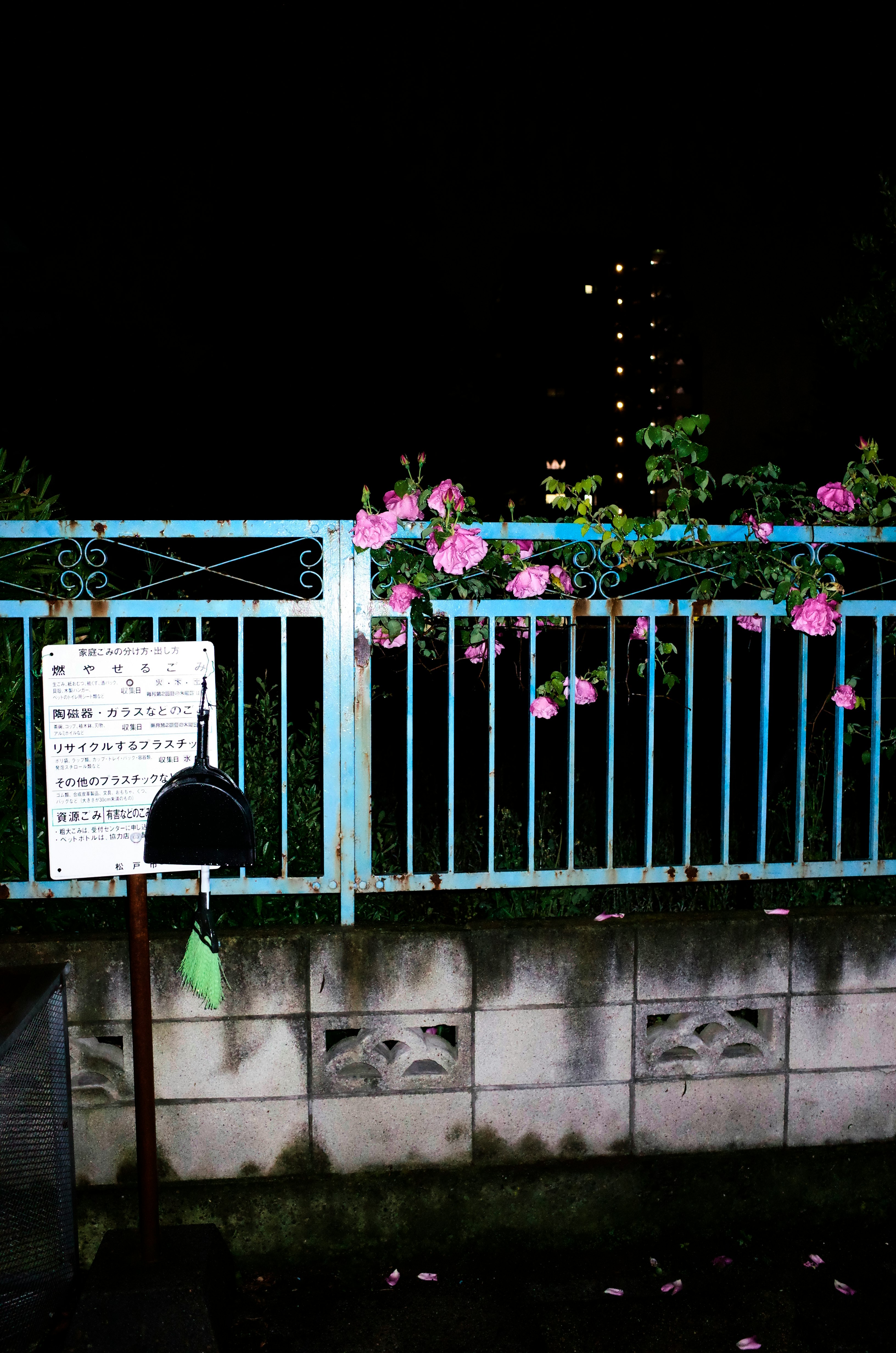 夜の花が飾られたフェンスと看板のある庭先