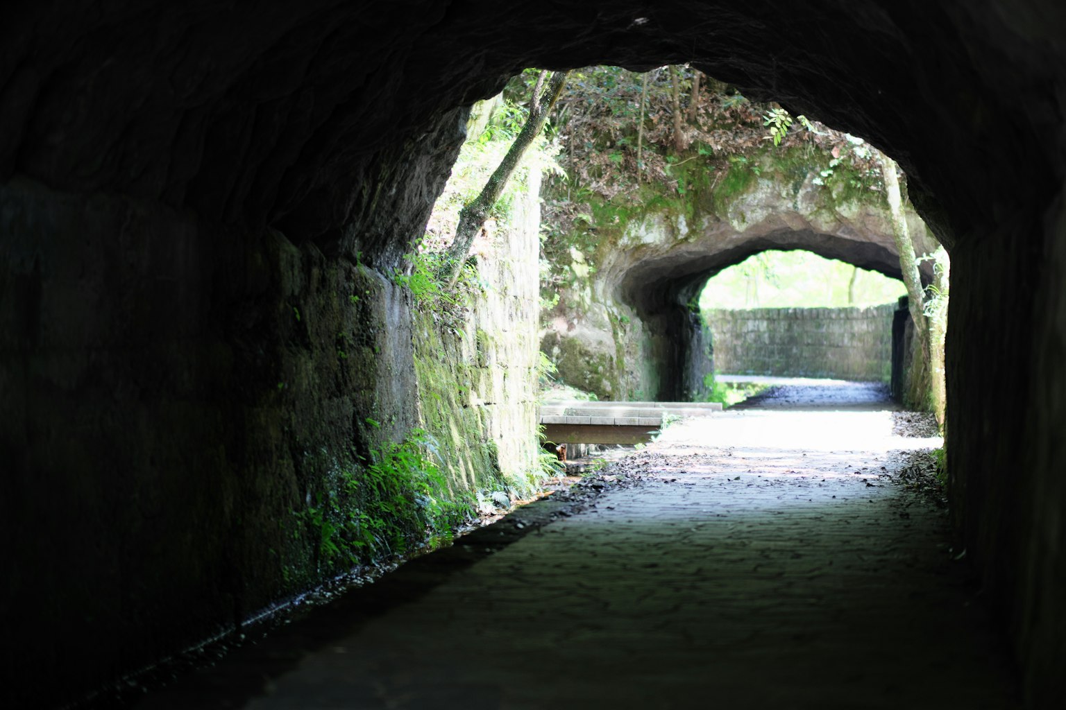 View from inside a green-covered tunnel showing another opening