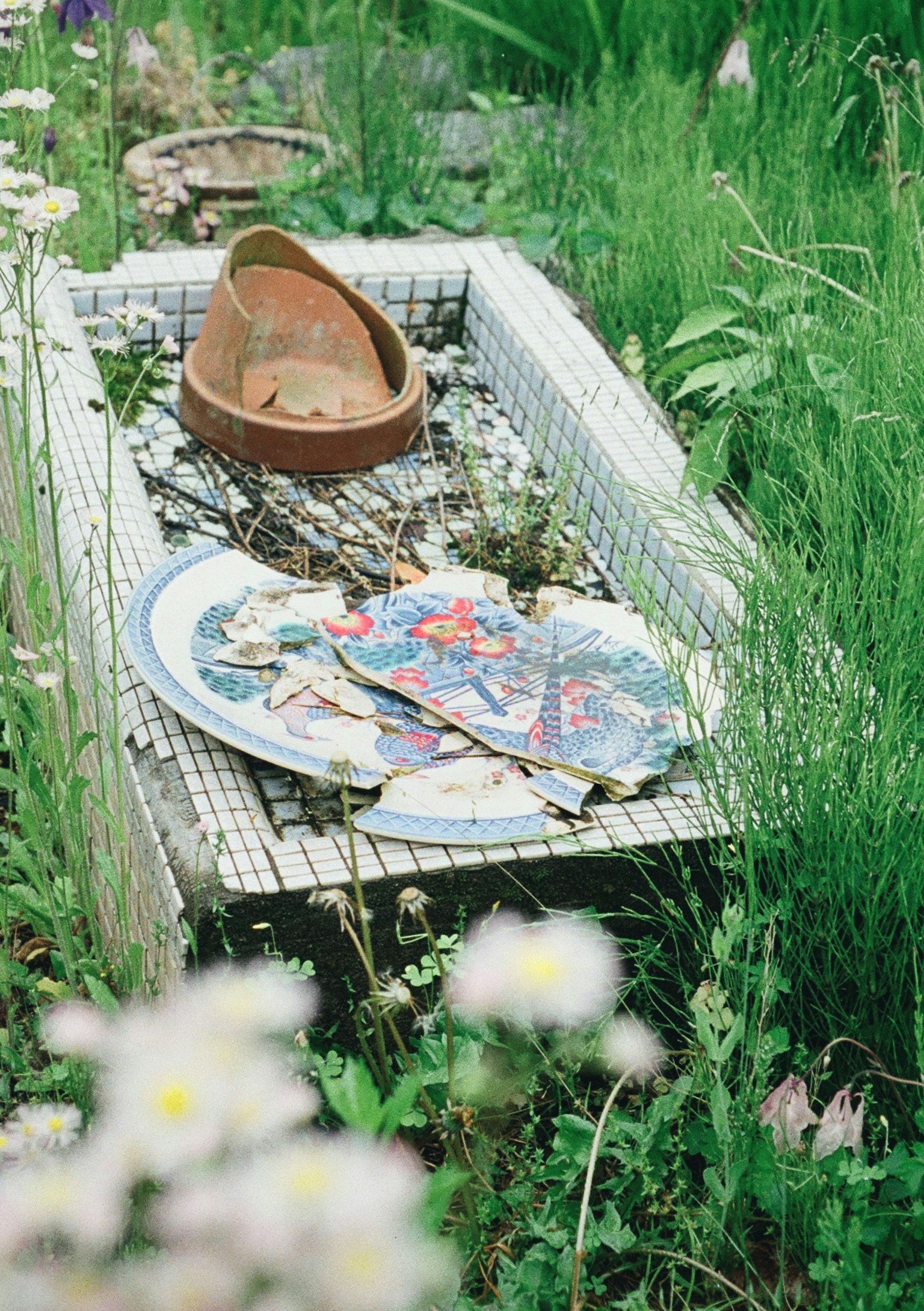 An old shoe and a plate placed in a grassy area