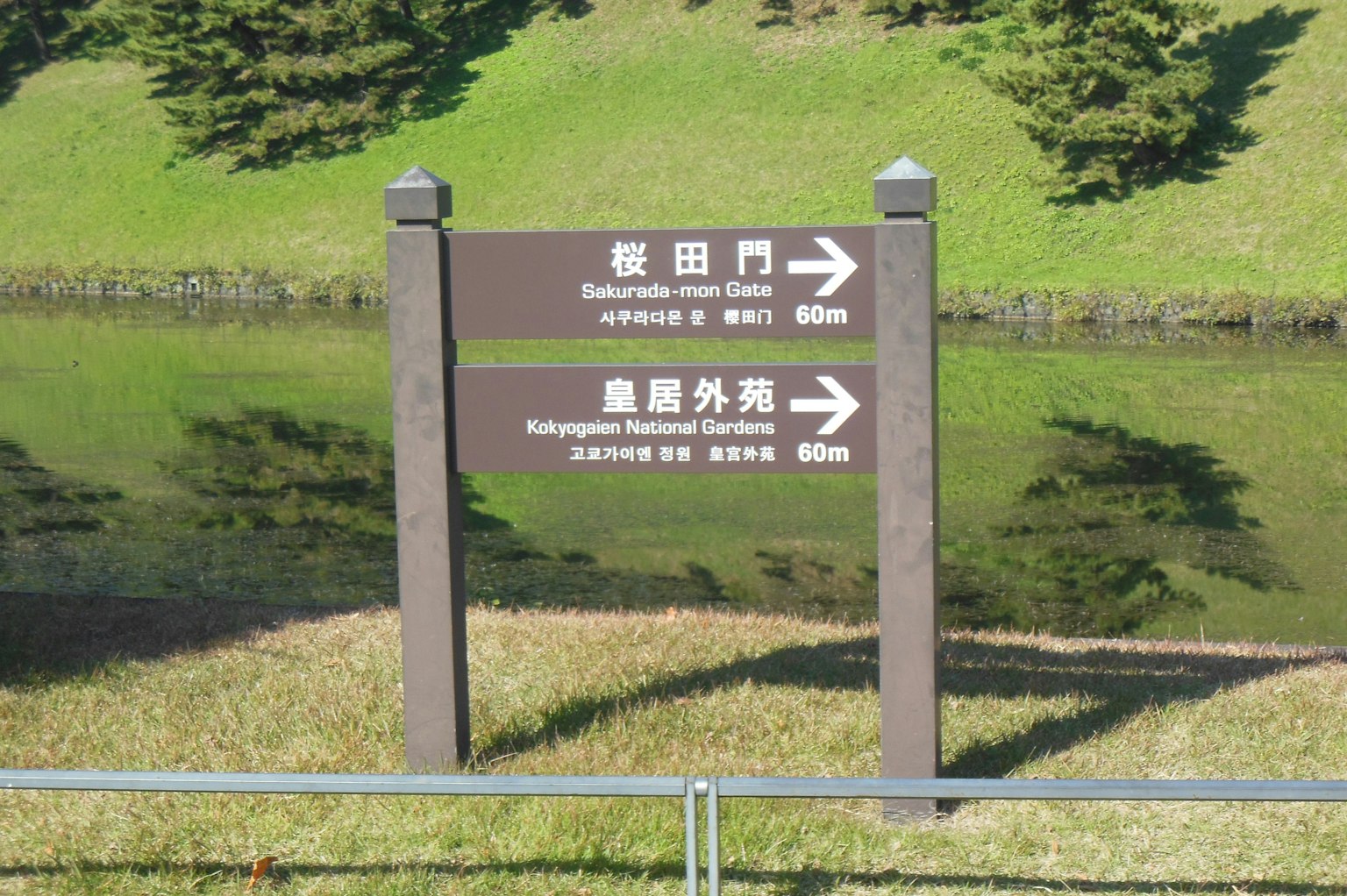 指示方向的标志和背景中的绿草坪和池塘
