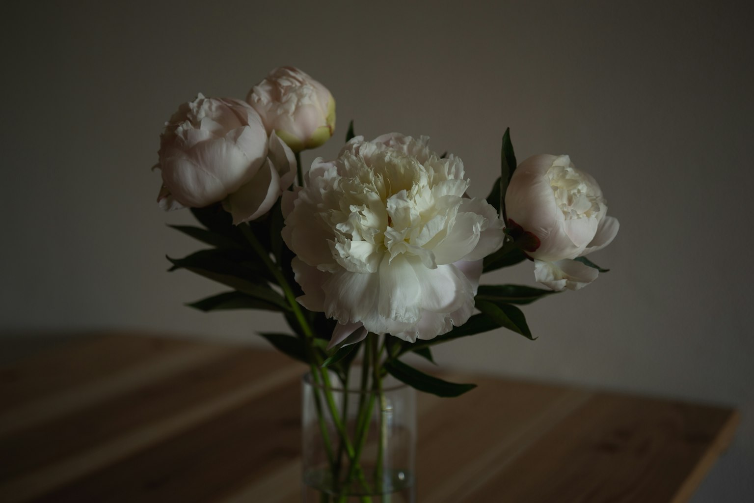 Seikat bunga peony putih dalam vas kaca