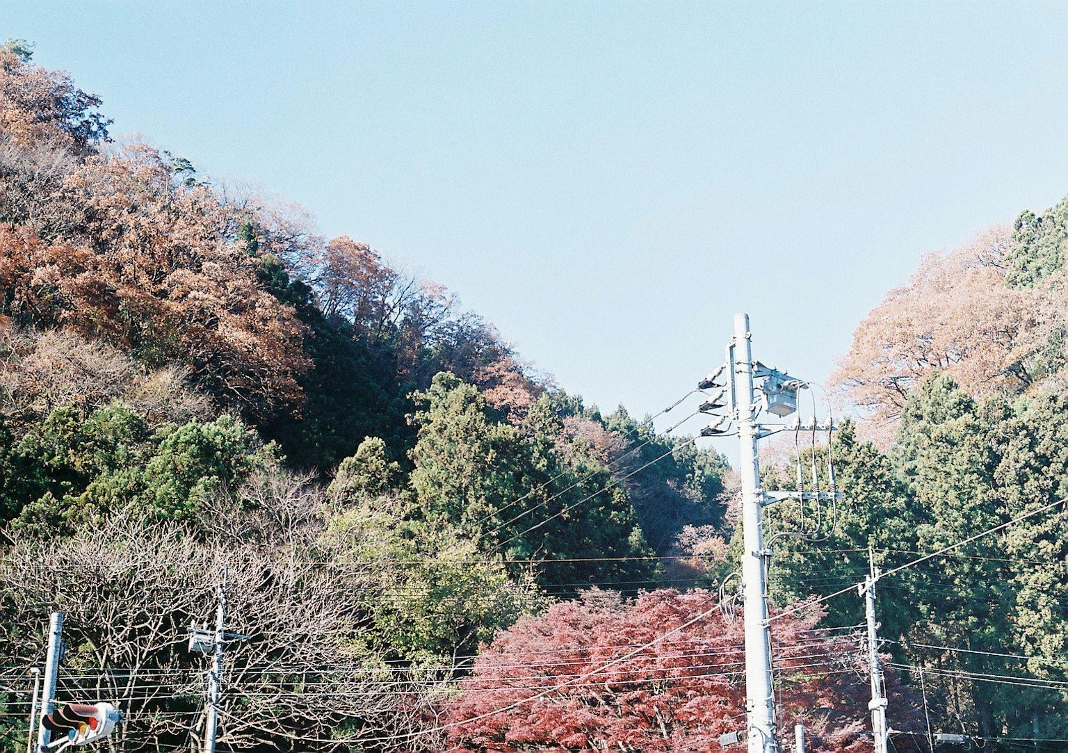 Vue panoramique de feuillage d'automne sur des montagnes avec des lignes électriques sous un ciel bleu