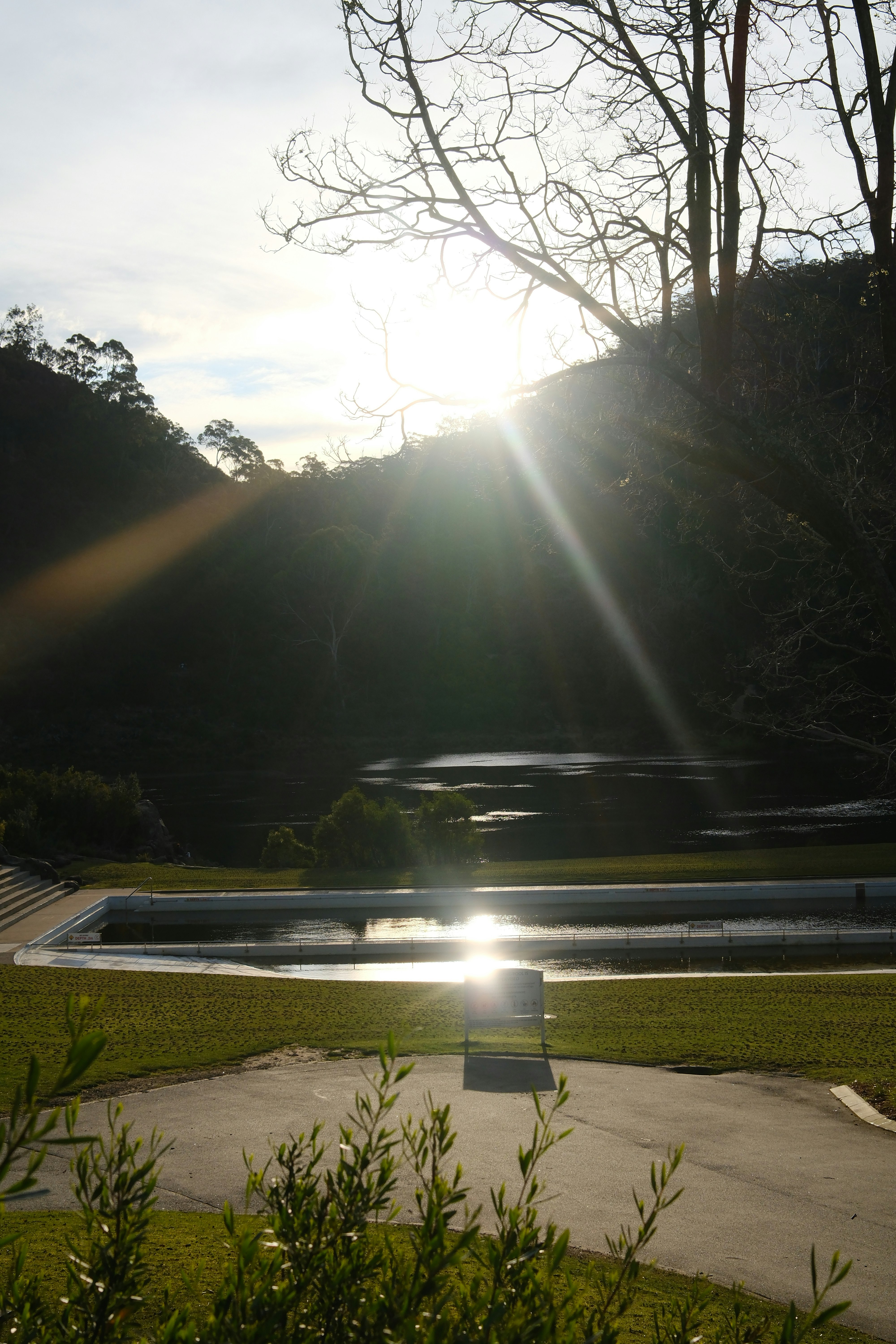 タスマニアの公園で夕暮れの光が差す静かな景色