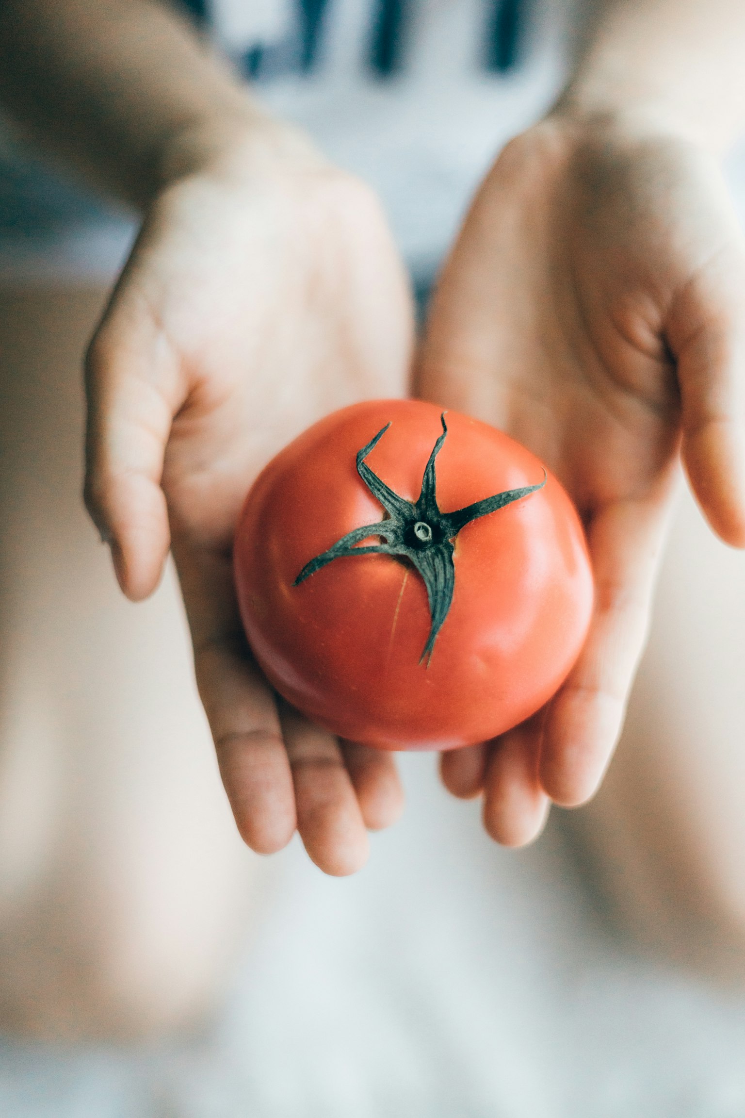 Mani che tengono un pomodoro rosso con una parte superiore a forma di stella