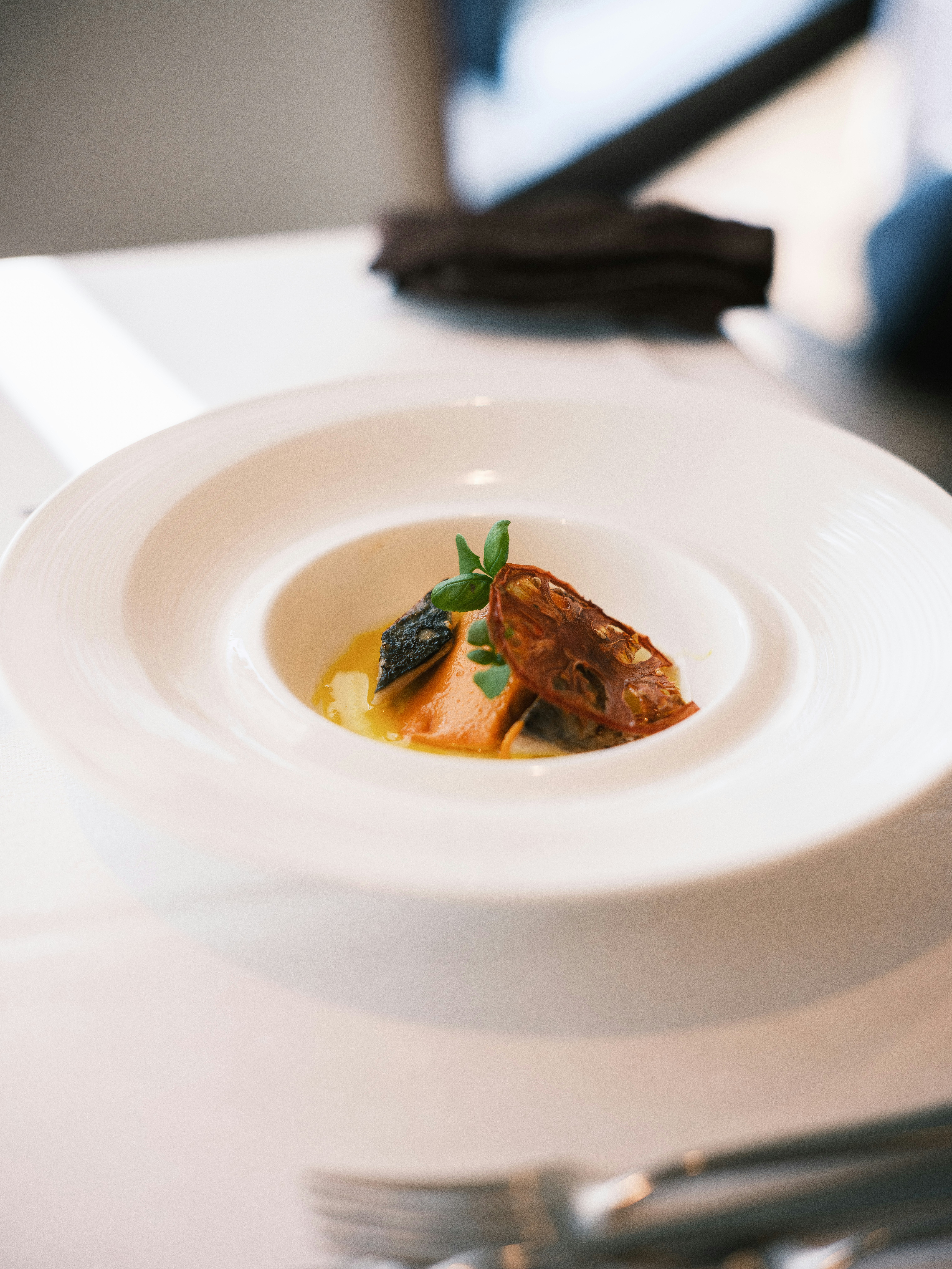 white plate with plated soup and meat dish