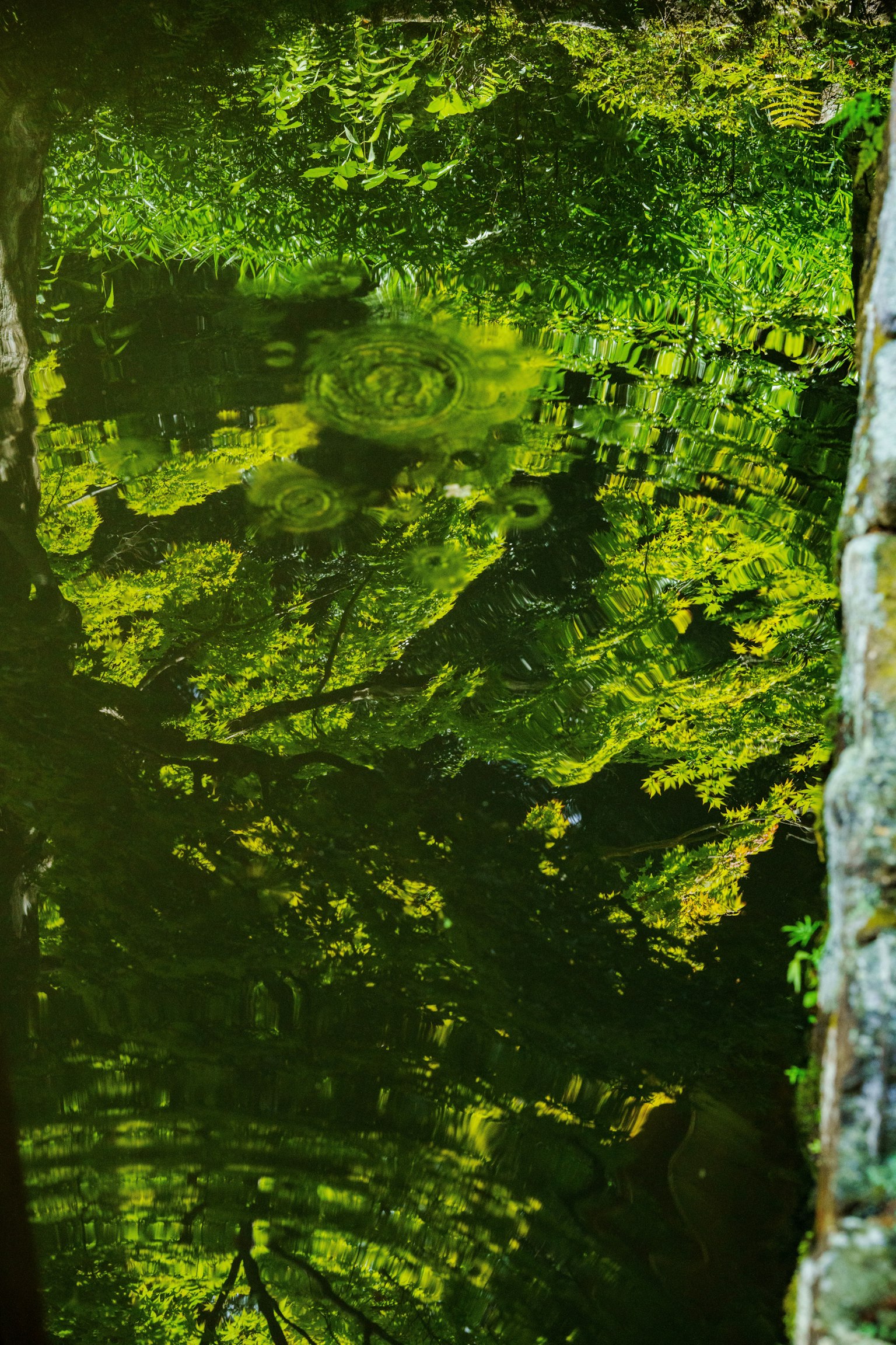 photo-jwRR7RoRXOqEZ5XY2jLb-image
