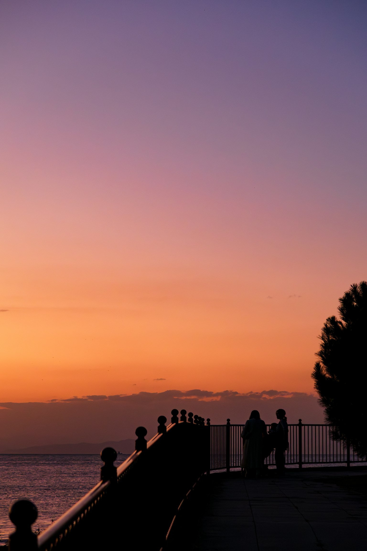 Silhouettes of people standing on a railing at sunset