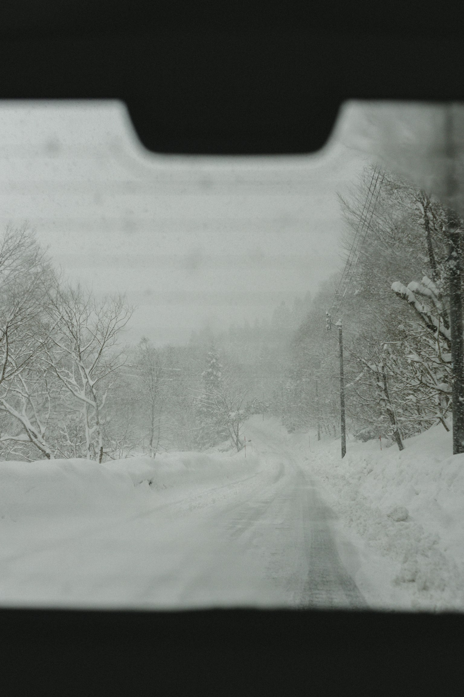 Paysage de route et d'arbres recouverts de neige