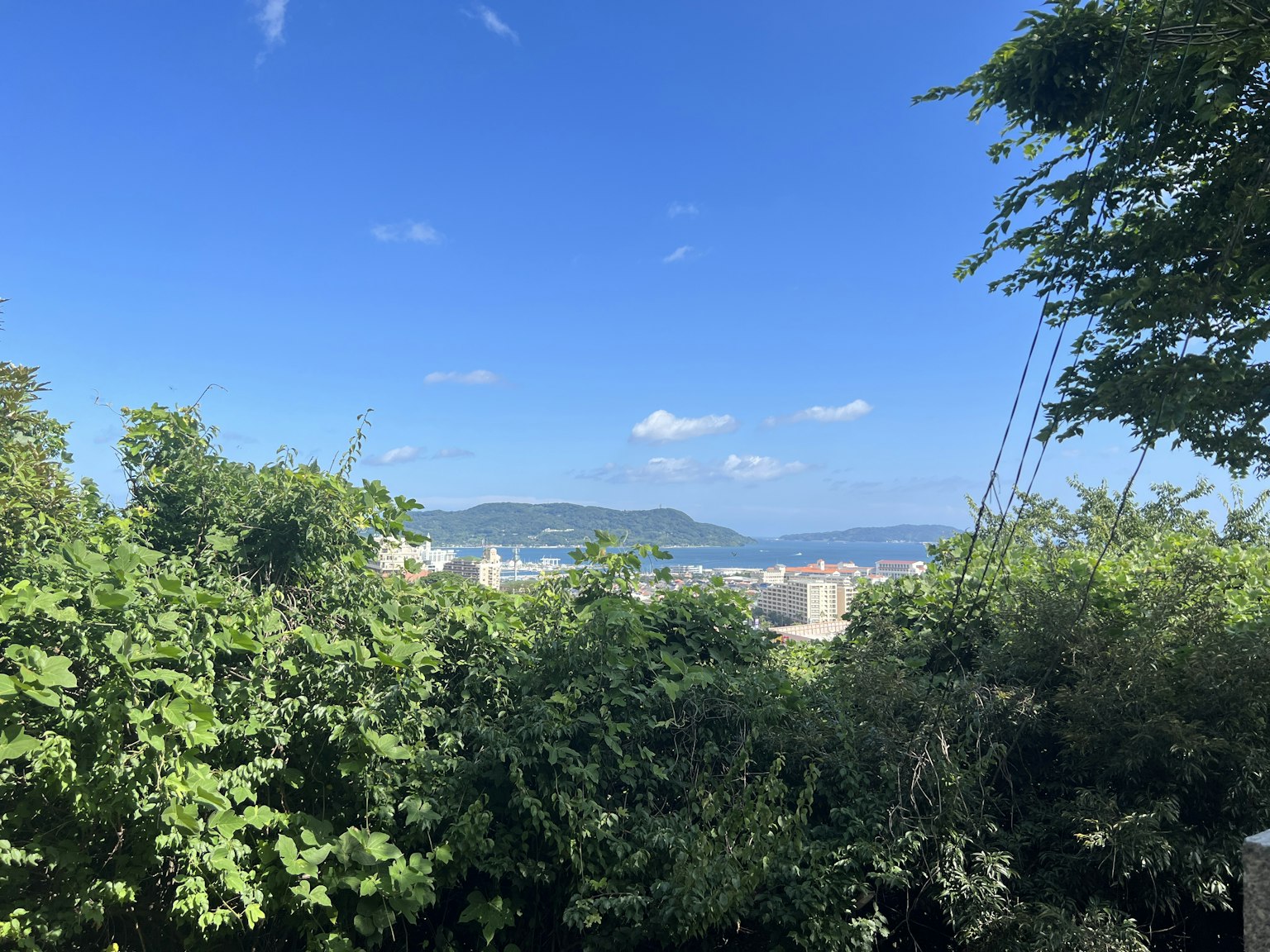 Scenic view of the sea framed by lush greenery under a blue sky