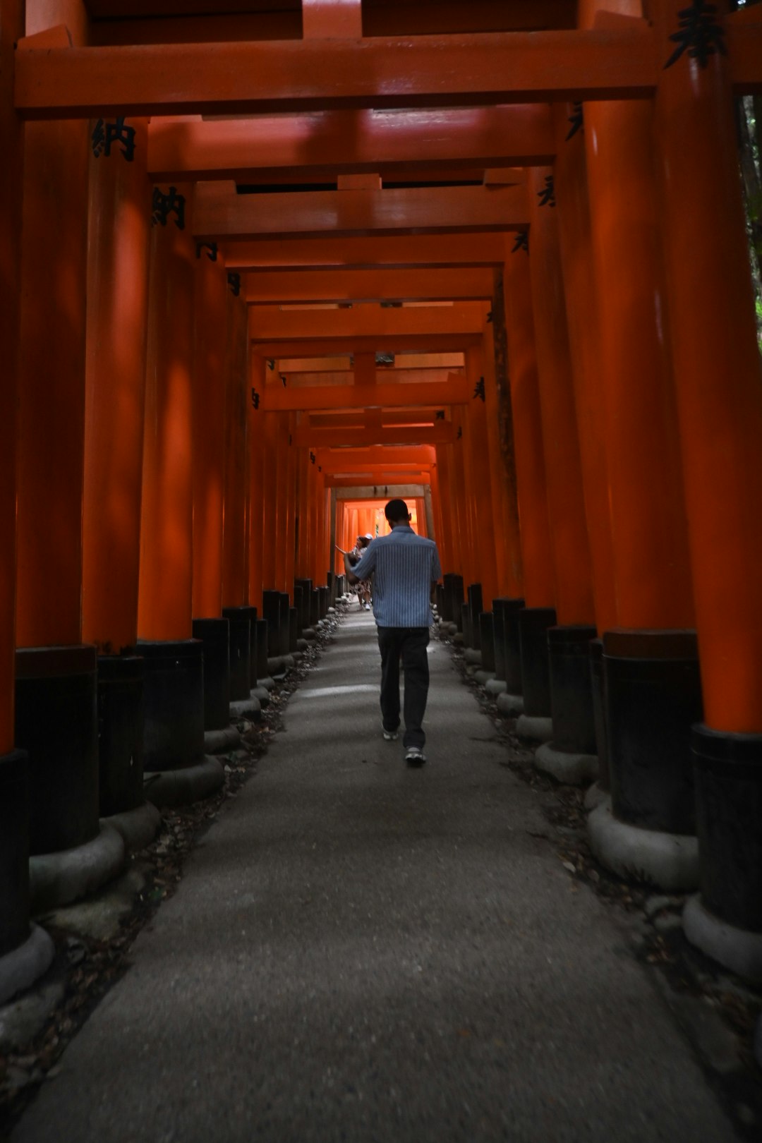 朱塗りの鳥居が続く参道の奥姿