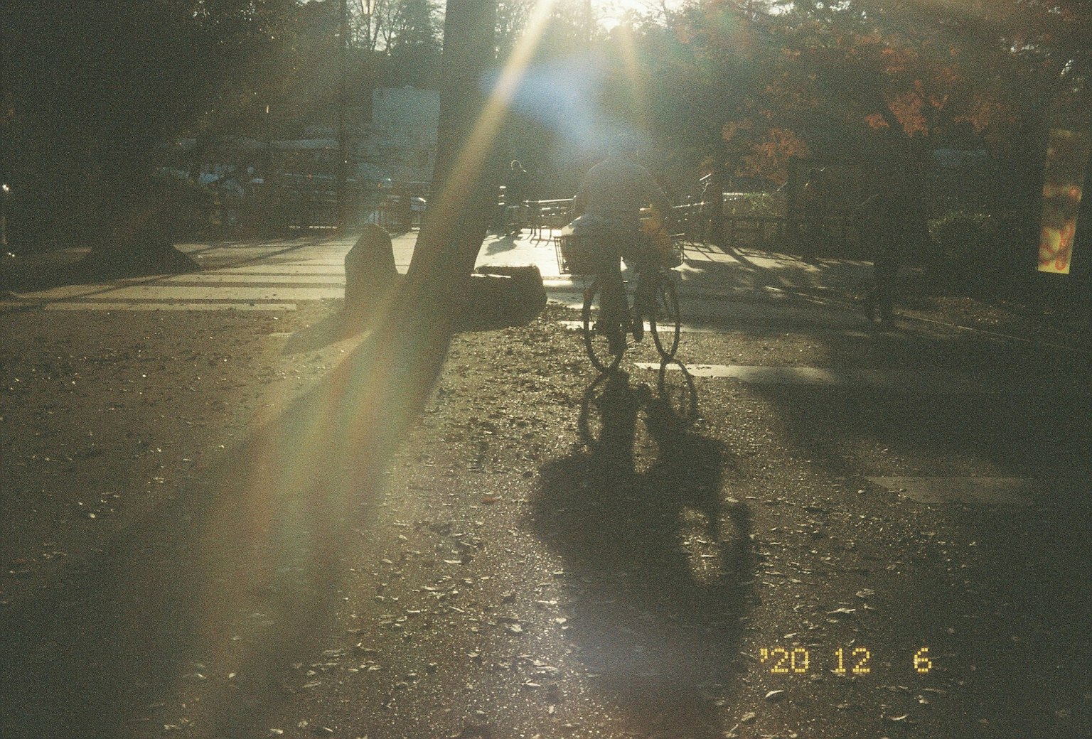 Una escena de una bicicleta en una carretera iluminada por el sol con sombras