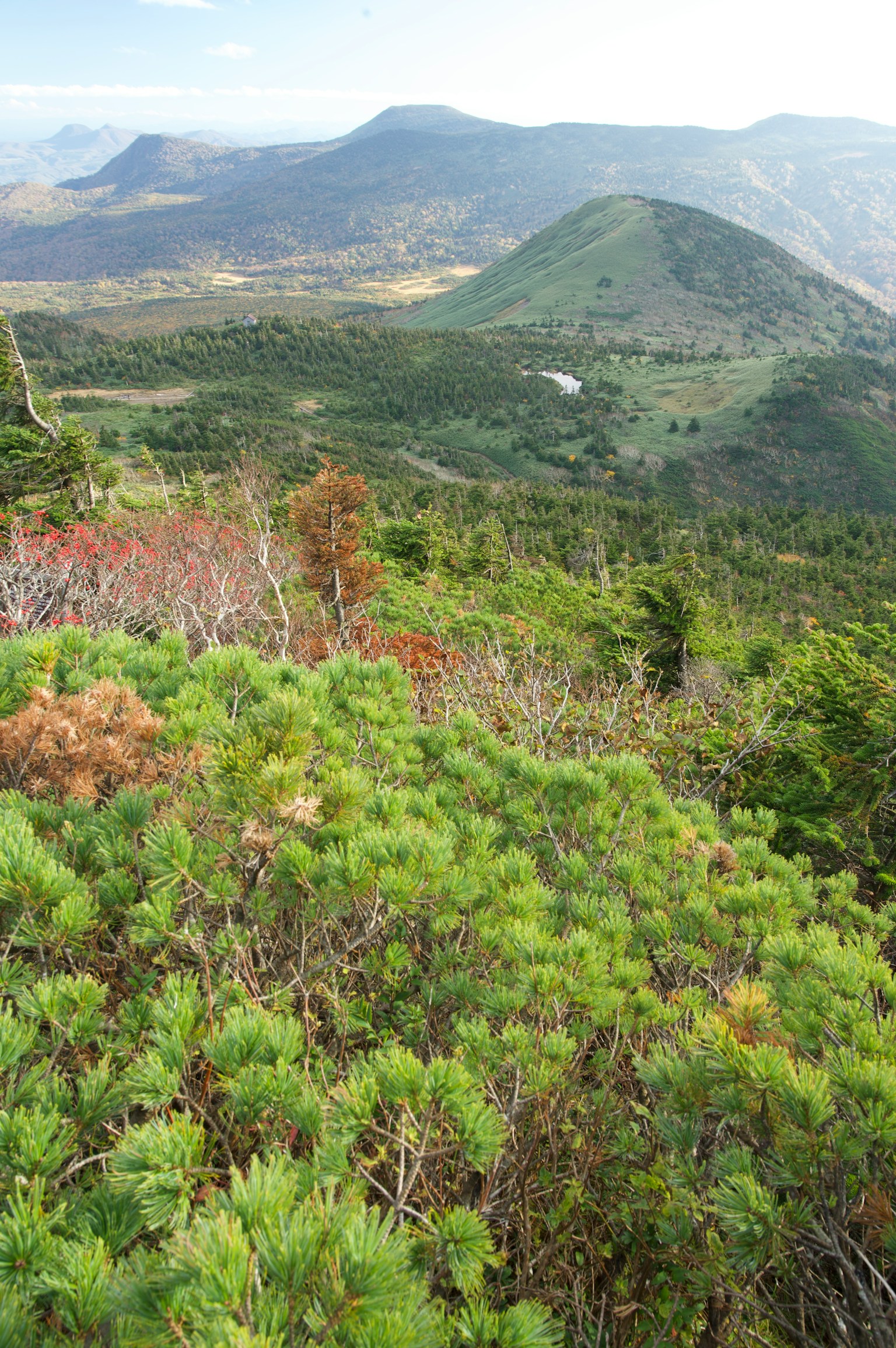 郁郁蔥蔥的山地景觀和遙遠的山丘