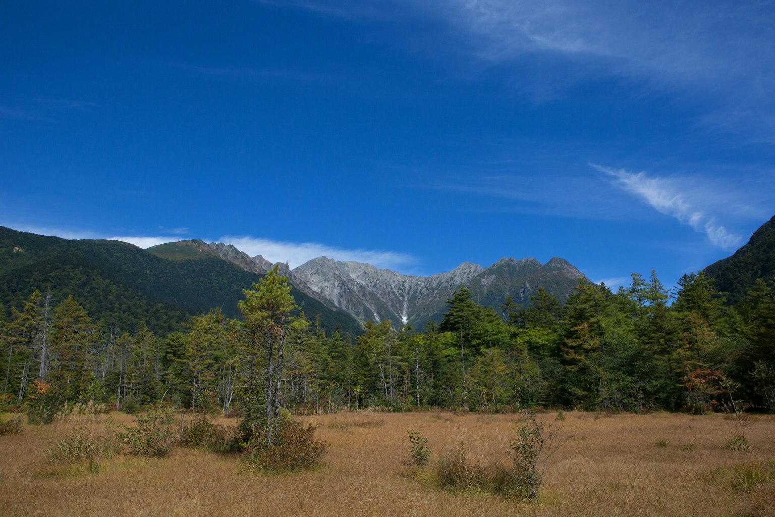 Paisaje con cielo azul y montañas con pradera y árboles