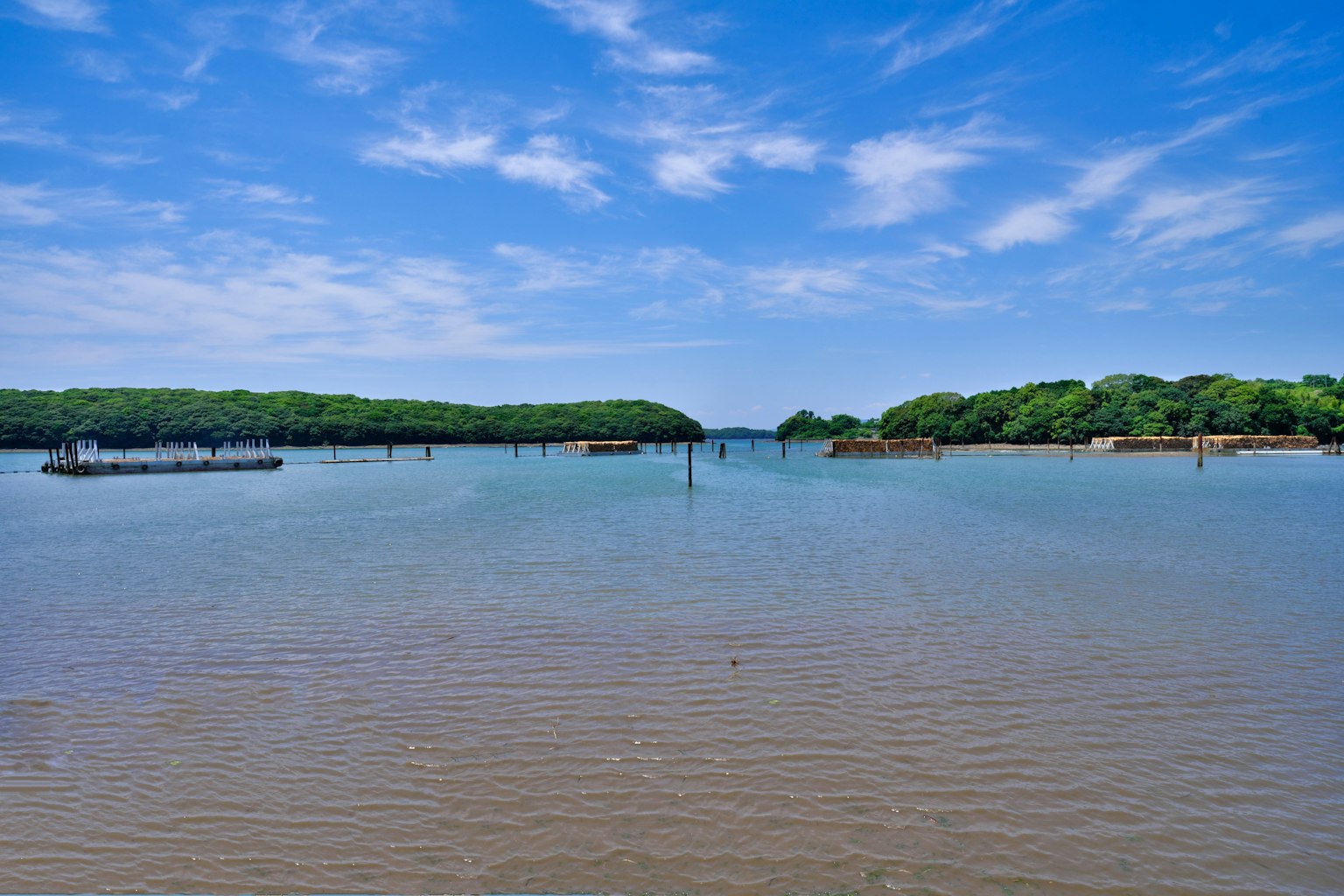 Vista panoramica di un corpo d'acqua calmo con alberi verdi e cielo blu