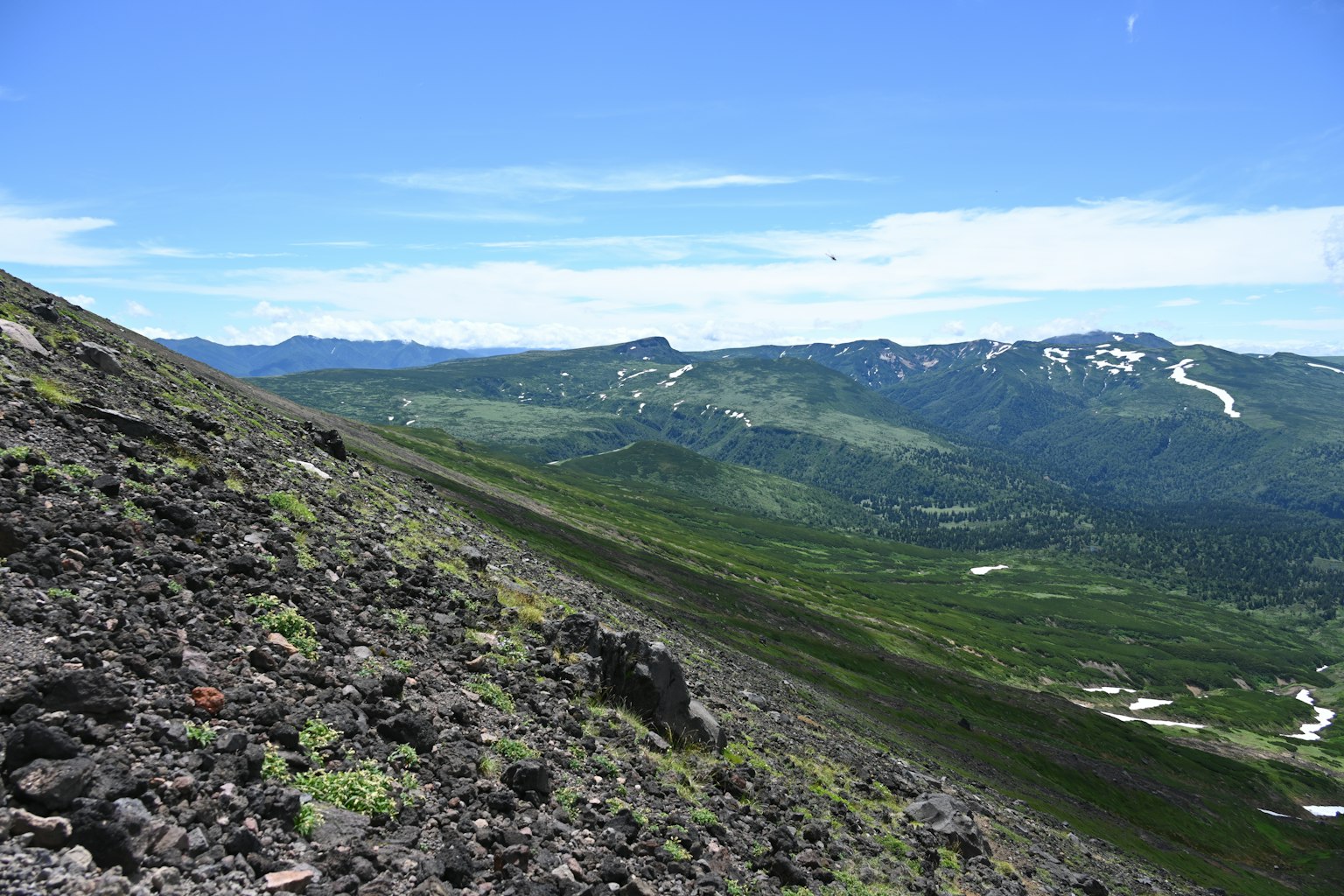 Vista de una ladera de montaña con rocas de lava negra y pradera verde