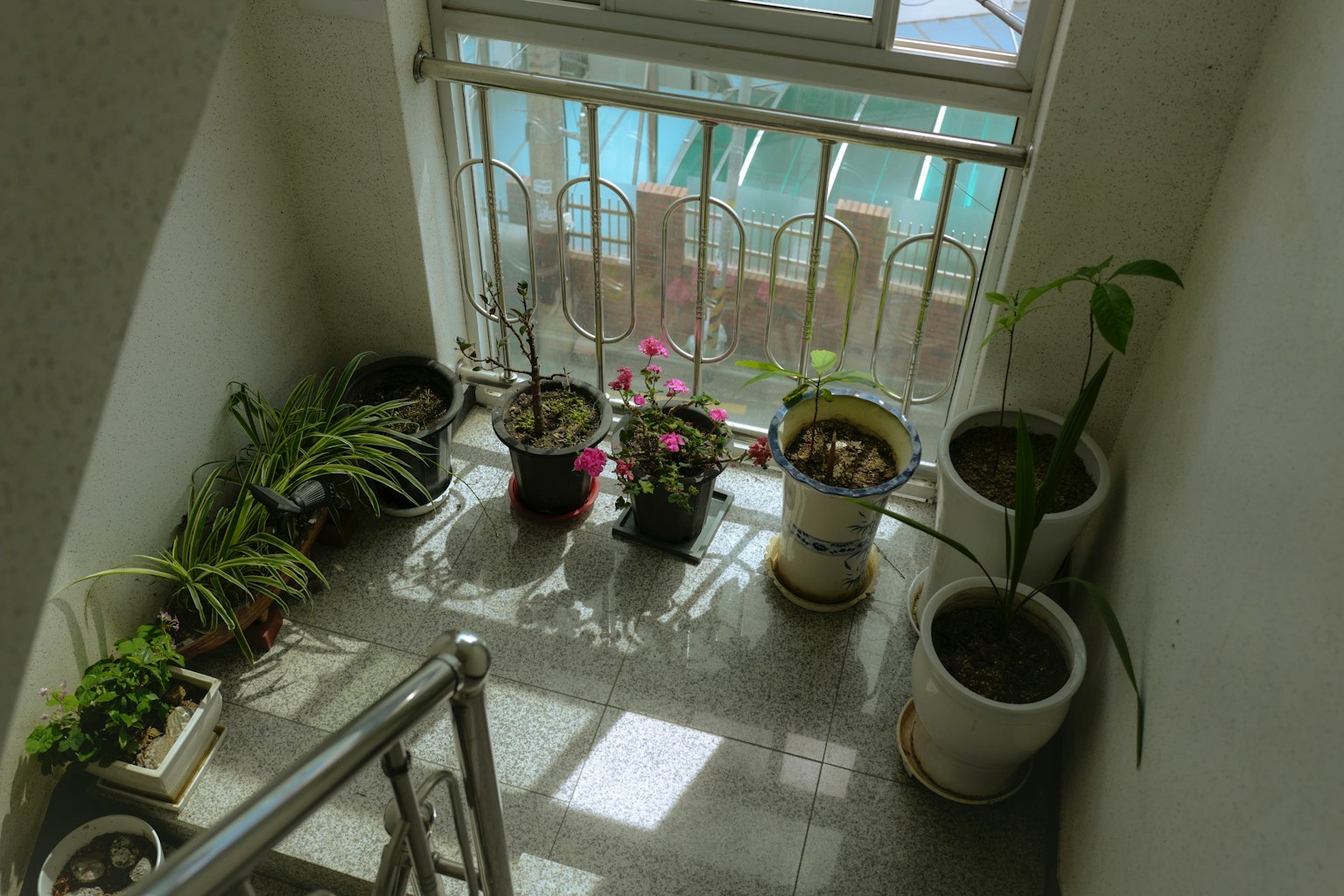 photo-jzTPWlfMI0ELCtpxUZVr-image