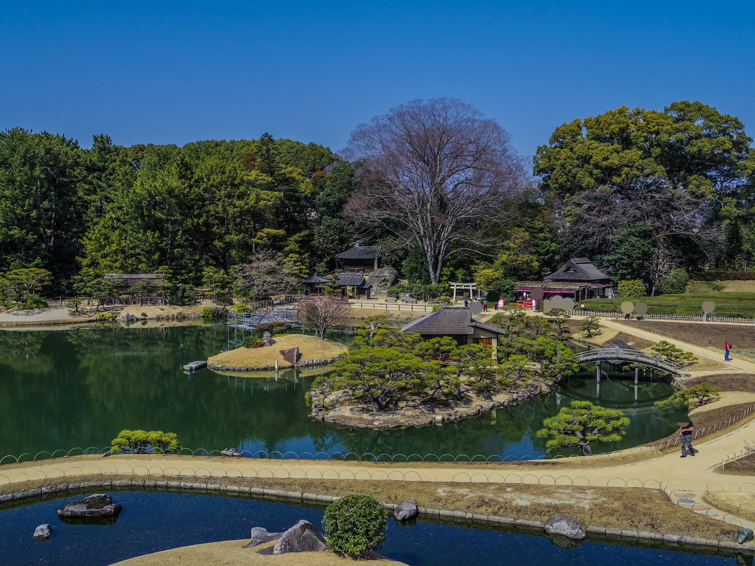 Vista panoramica di uno stagno tranquillo e di un bel giardino con alberi rigogliosi e sentieri