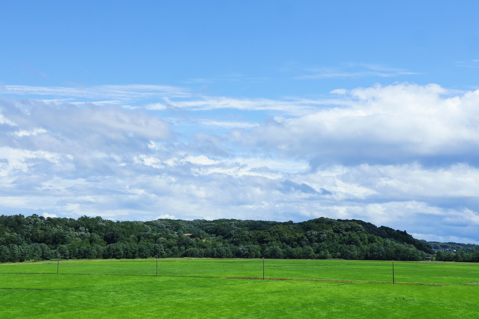 Weites grünes Feld unter einem hellblauen Himmel mit vereinzelten Wolken
