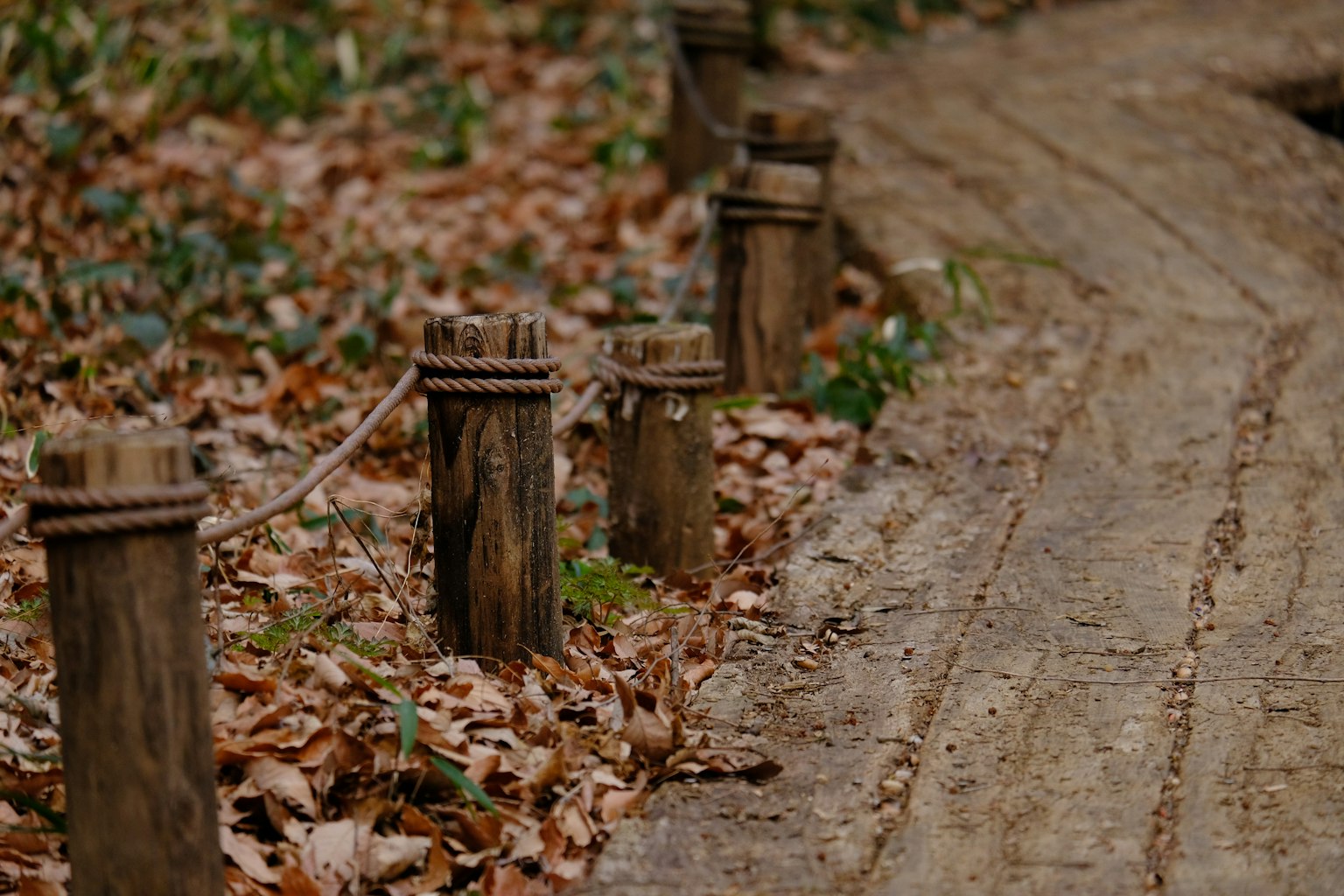 Ein gewundener Weg, gesäumt von Holzpfosten und verstreuten Herbstblättern