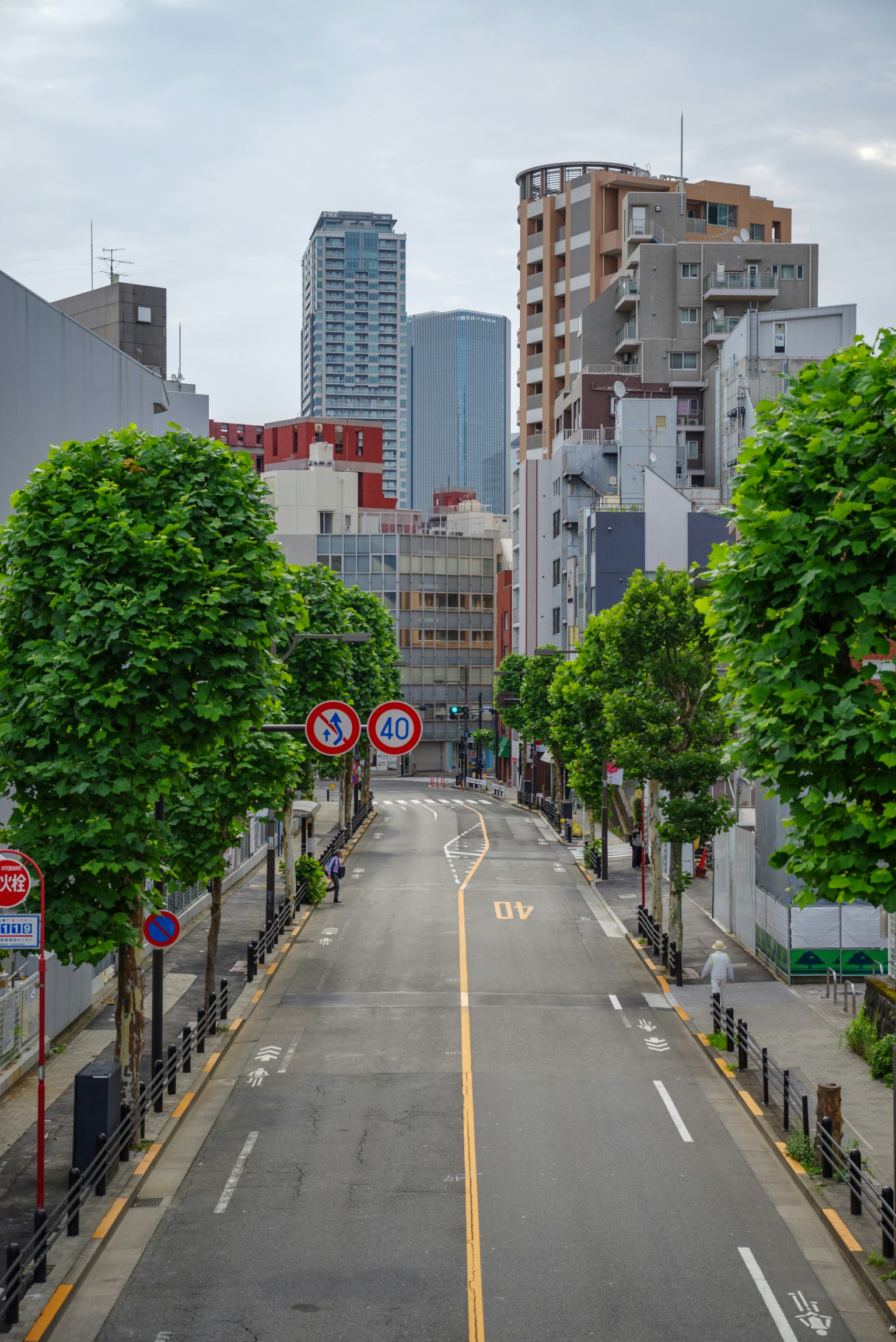 Quiet street lined with green trees and high-rise buildings