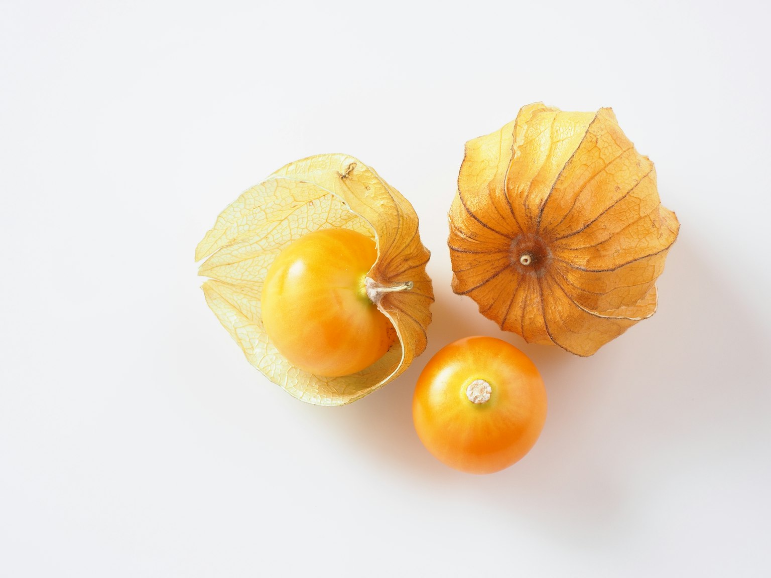 Fruto de physalis con su cáscara dispuesto sobre un fondo blanco