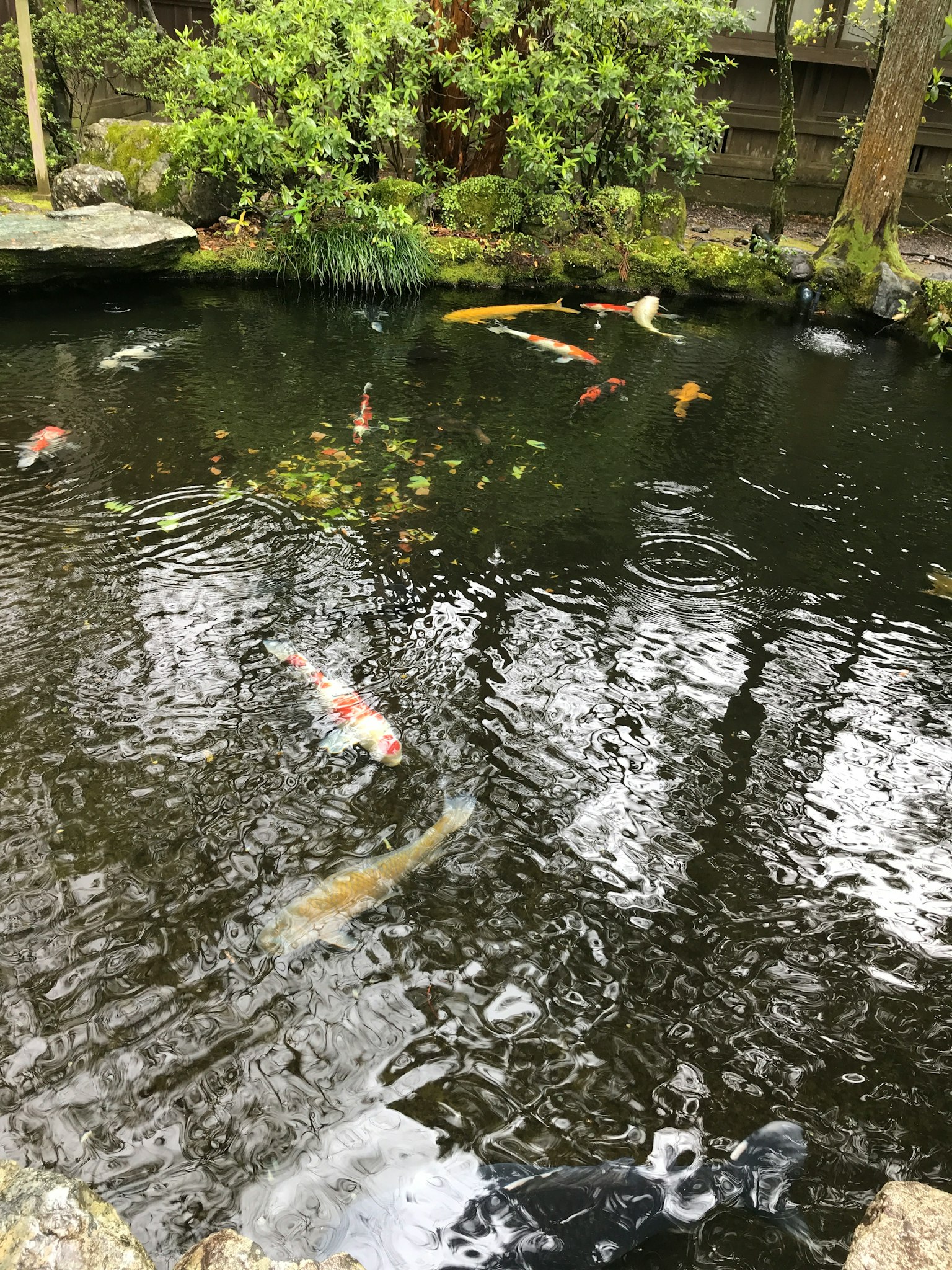 photo-k1r0PqbTmaw4F8VgS4Wm-image