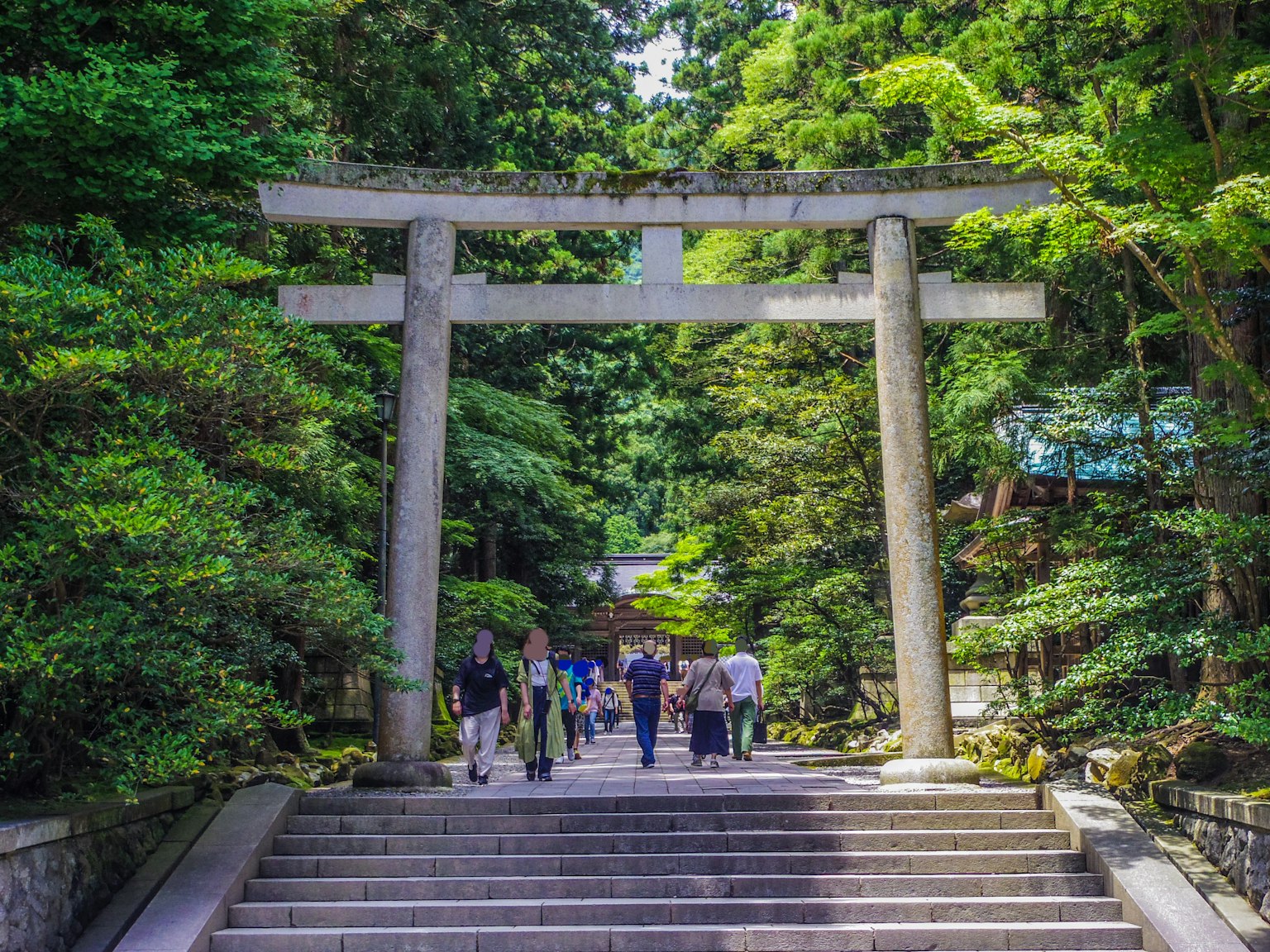 Wisatawan berjalan di tangga batu di bawah torii dikelilingi oleh pepohonan