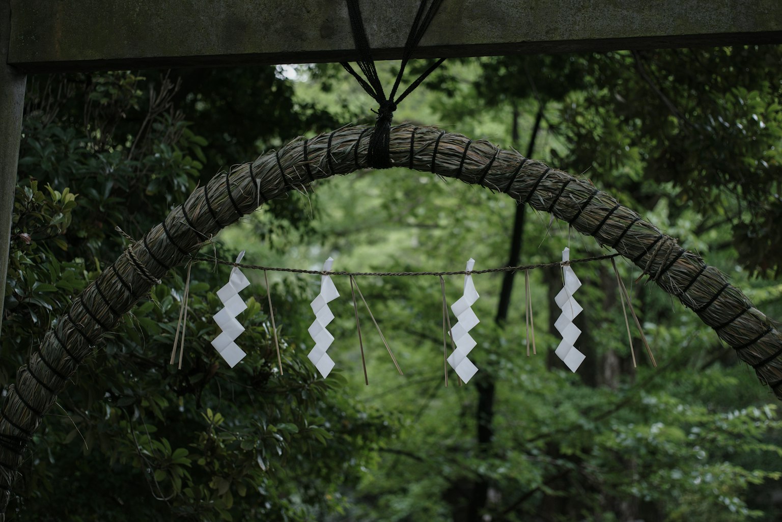 Un arco natural de cuerda con decoraciones blancas colgando