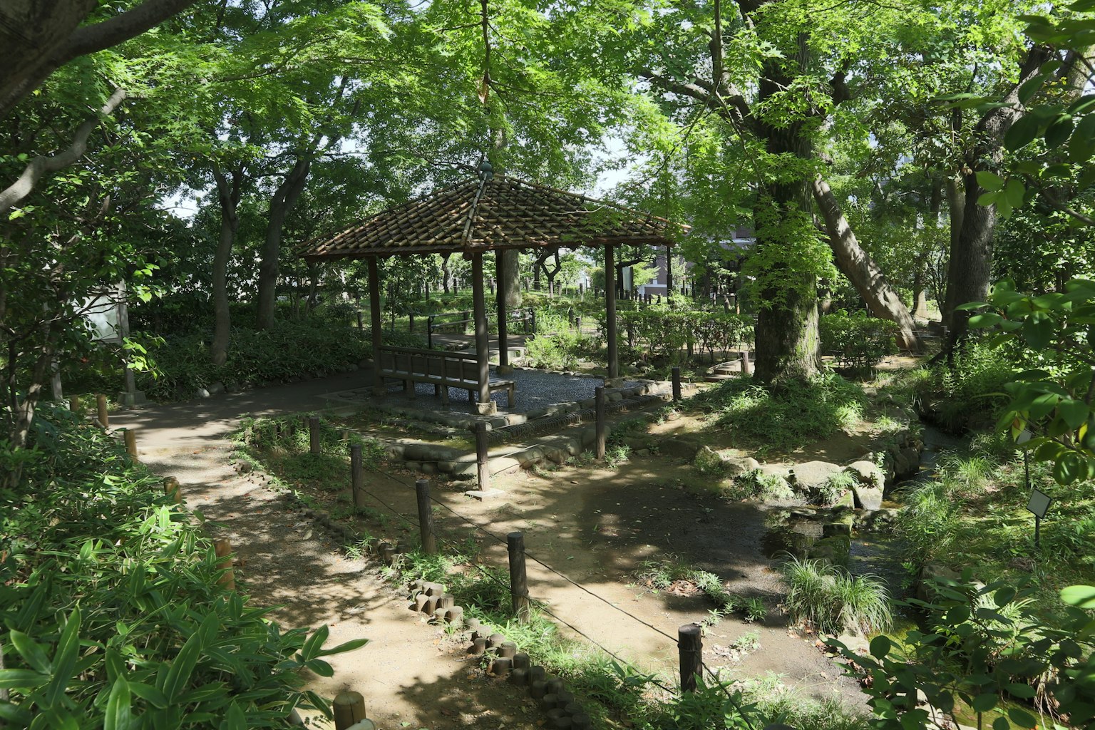 被郁郁蔥蔥綠植環繞的寧靜公園中的木質涼亭