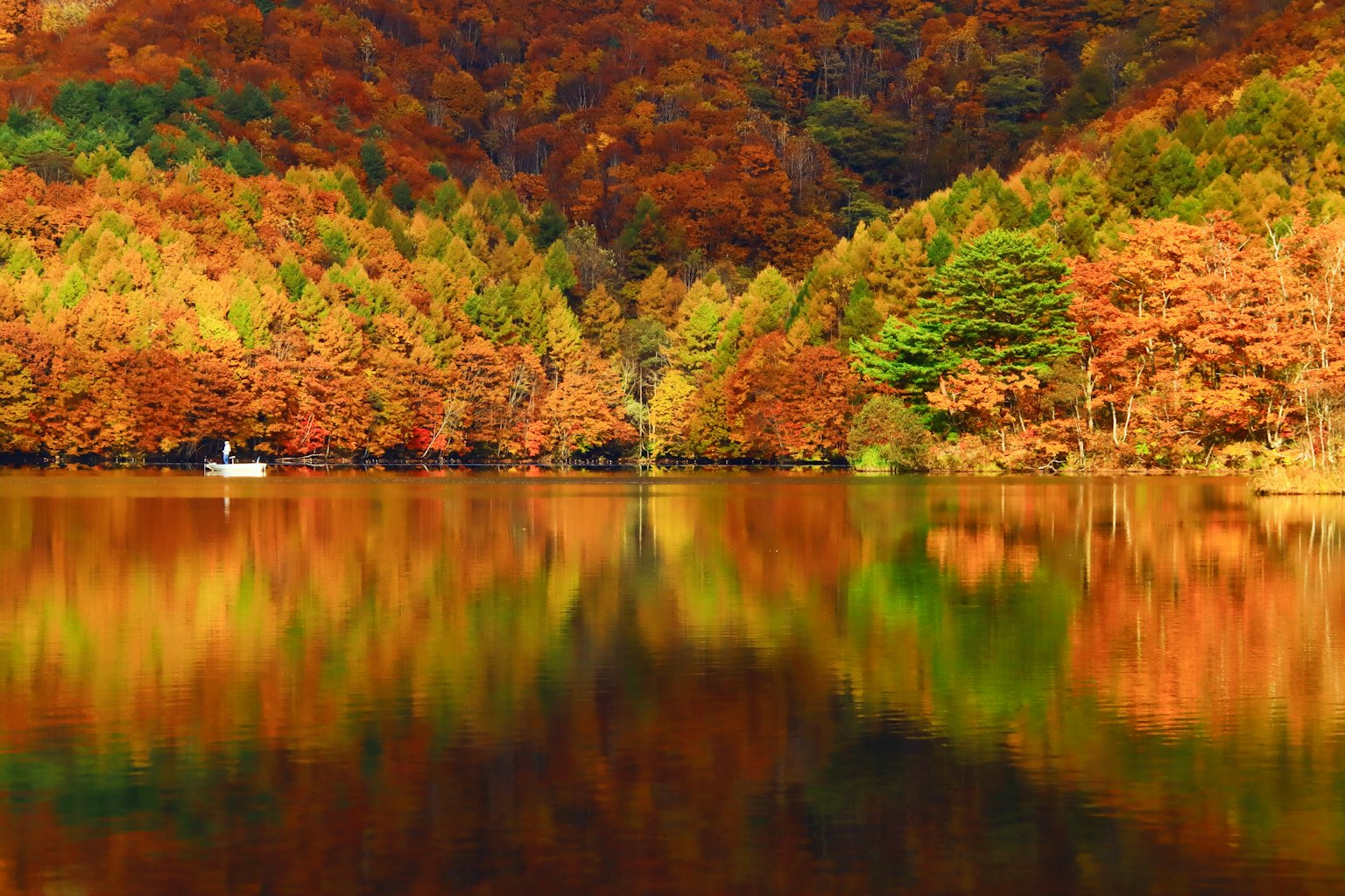 Lac reflétant le feuillage d'automne avec des couleurs vives