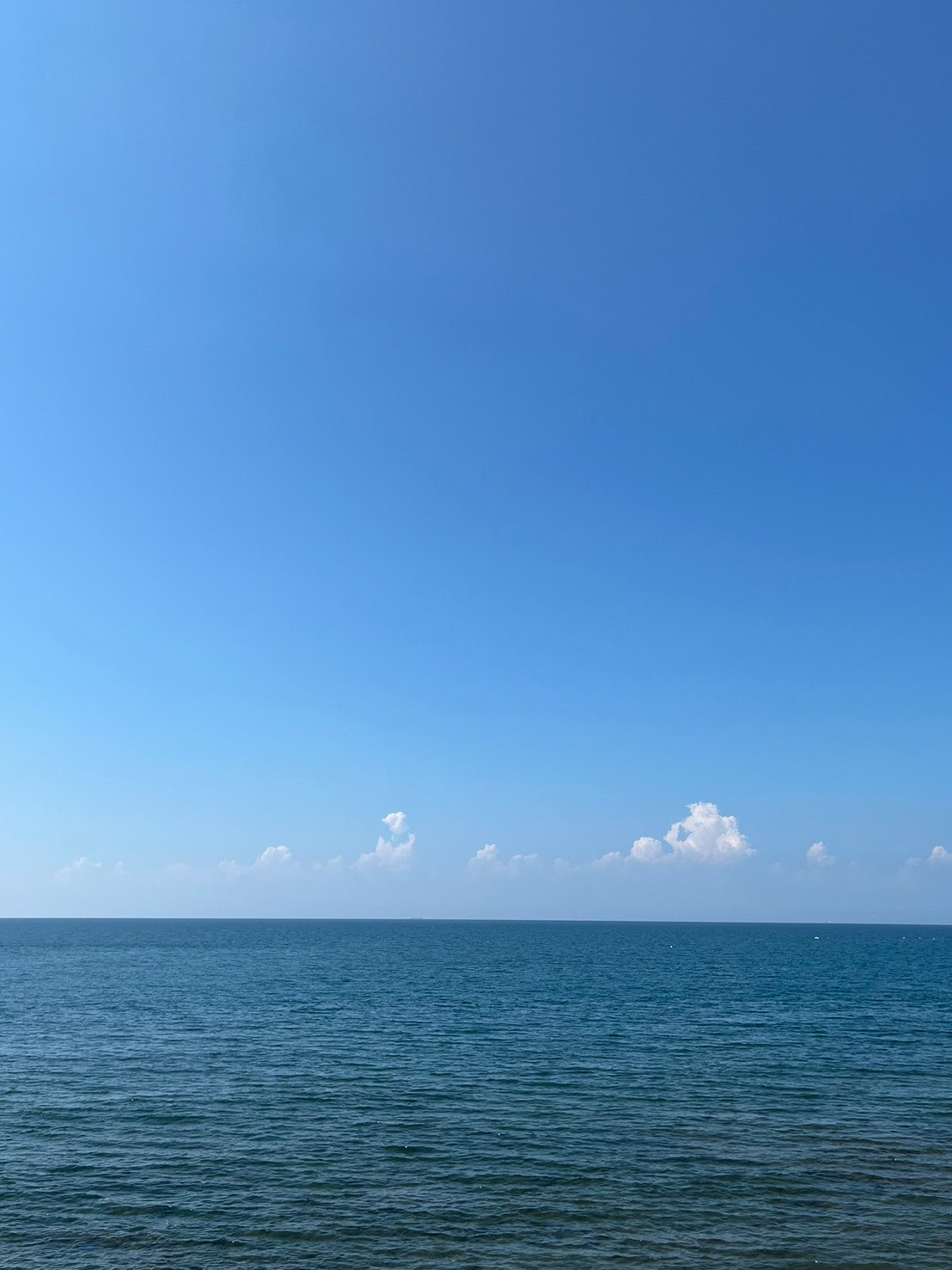 青い海と広い空の水平線