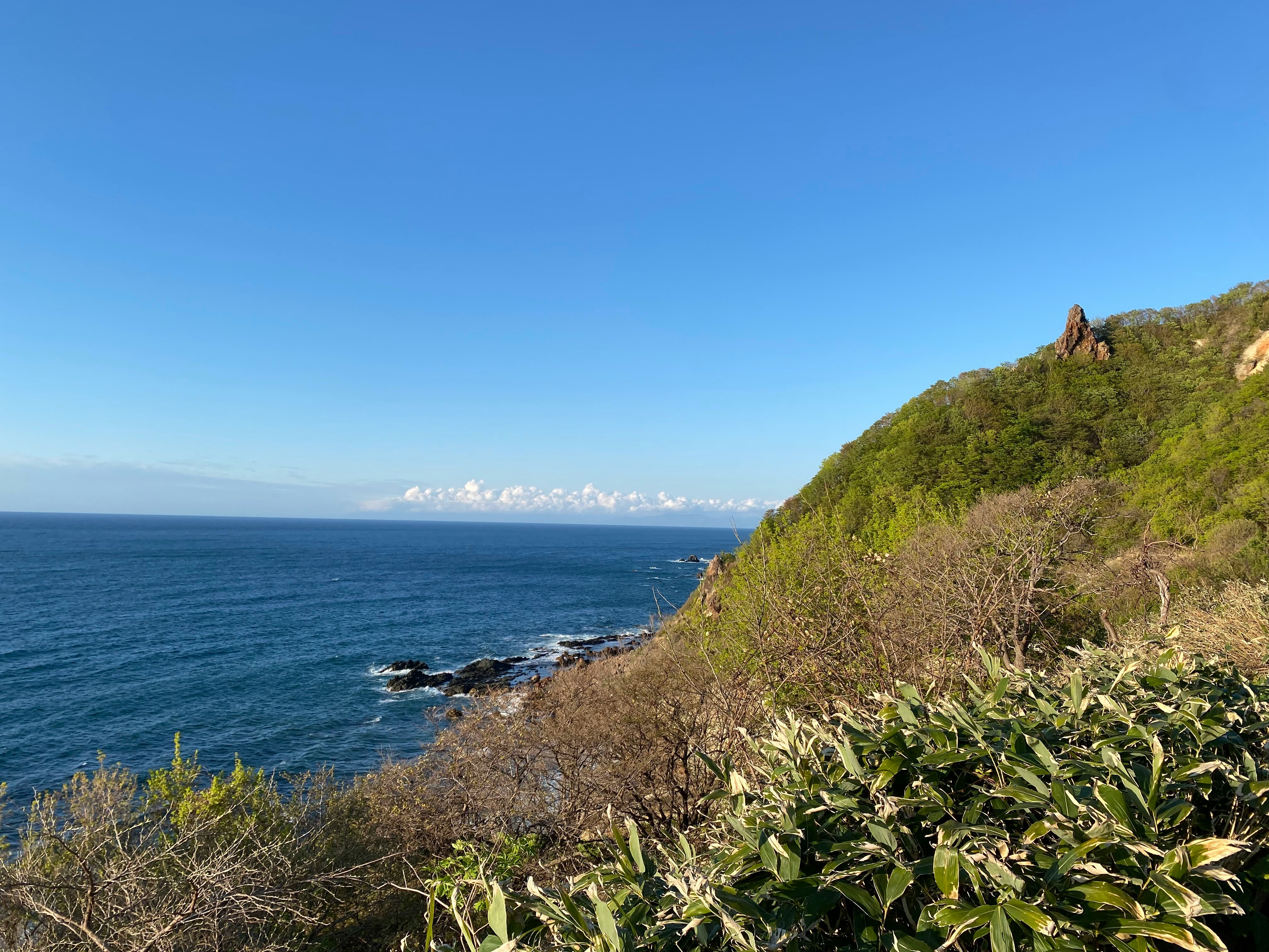 海を見下ろす断崖と緑の植生の海岸線