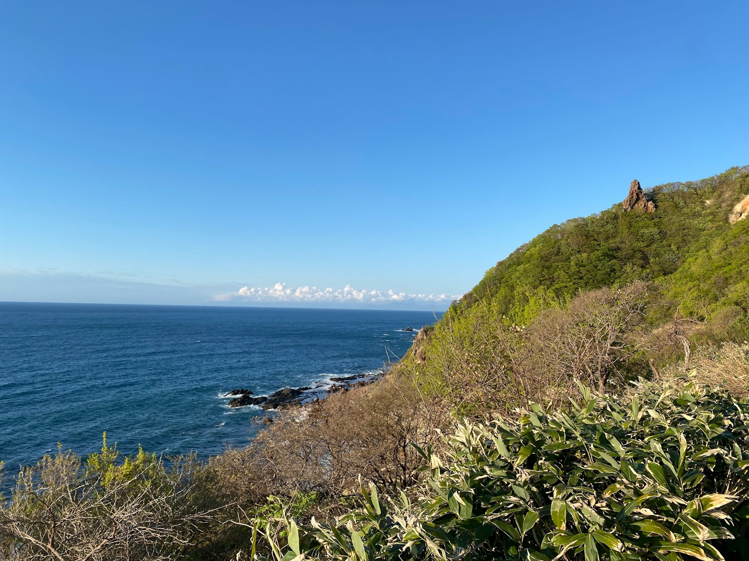 藍色海洋和綠色山丘的風景