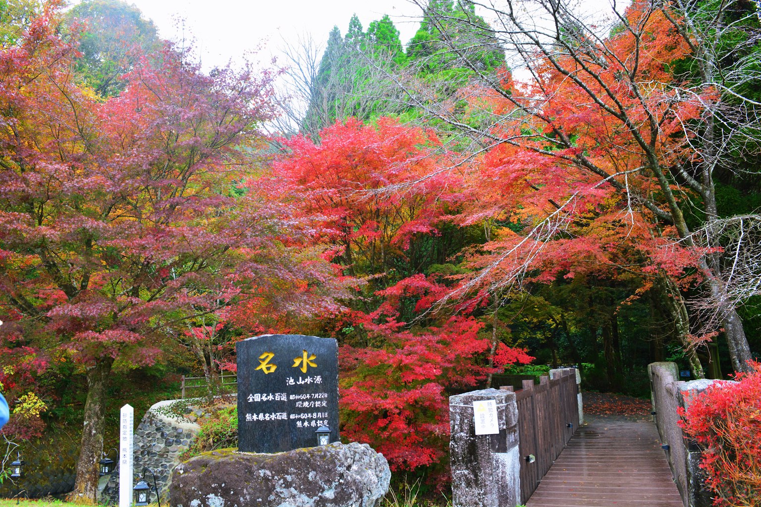 Vue pittoresque d'un pont entouré de feuilles d'automne rouges vives et d'un panneau