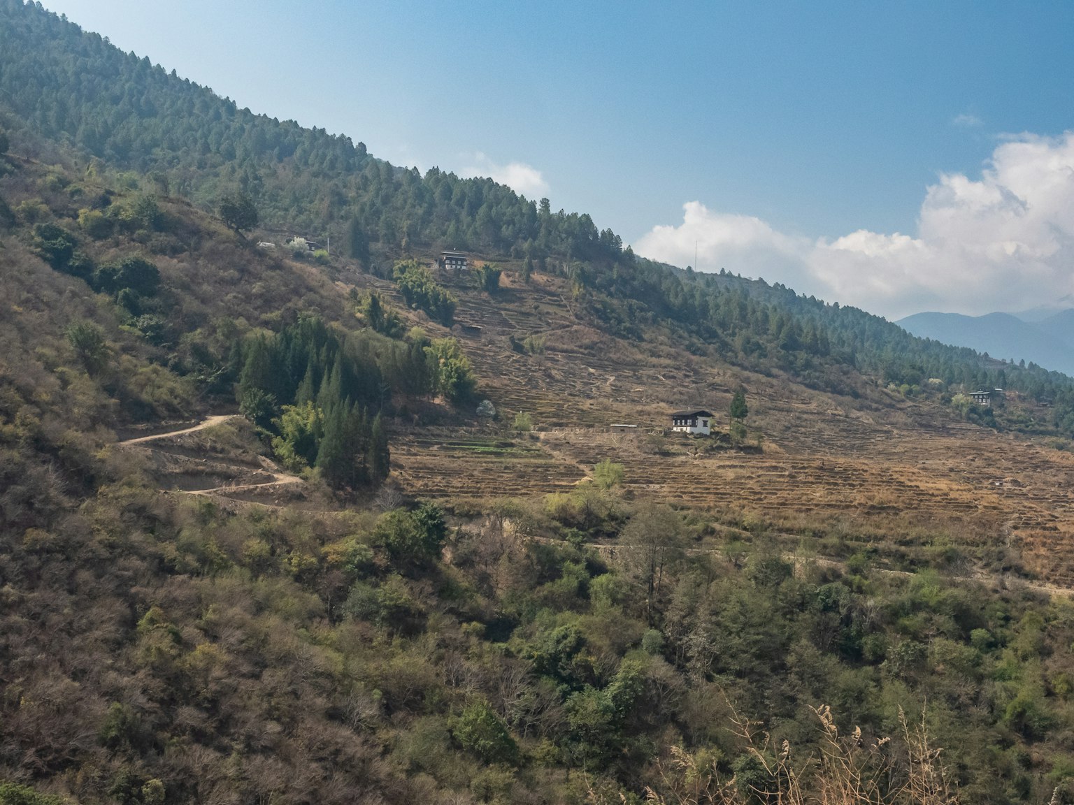 山地風景，綠色和棕色的田野，遠處有一座小房子