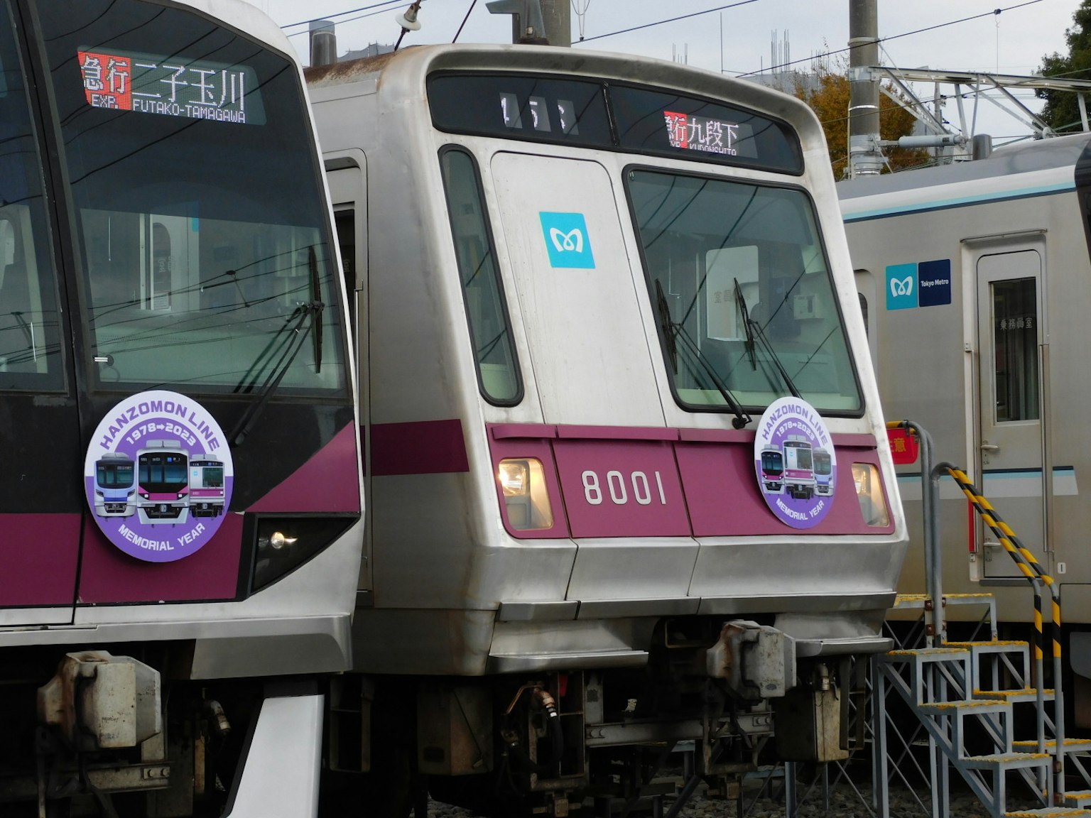 Kereta nomor 8001 dengan desain ungu dan putih diparkir di stasiun
