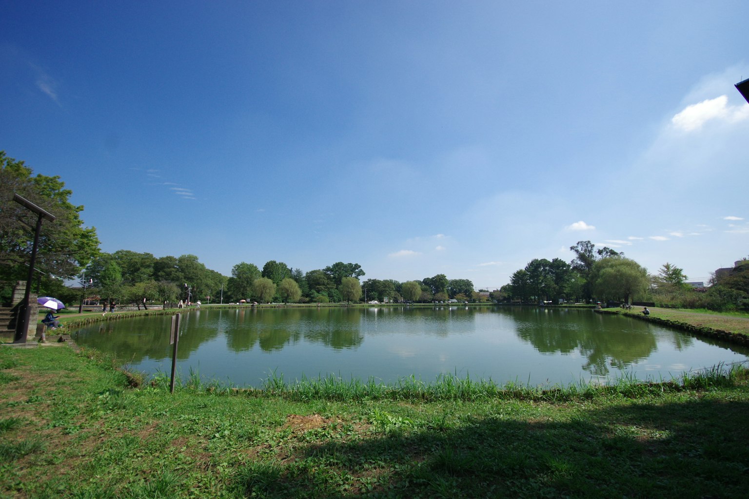 Estanque sereno con hierba verde bajo un cielo azul claro