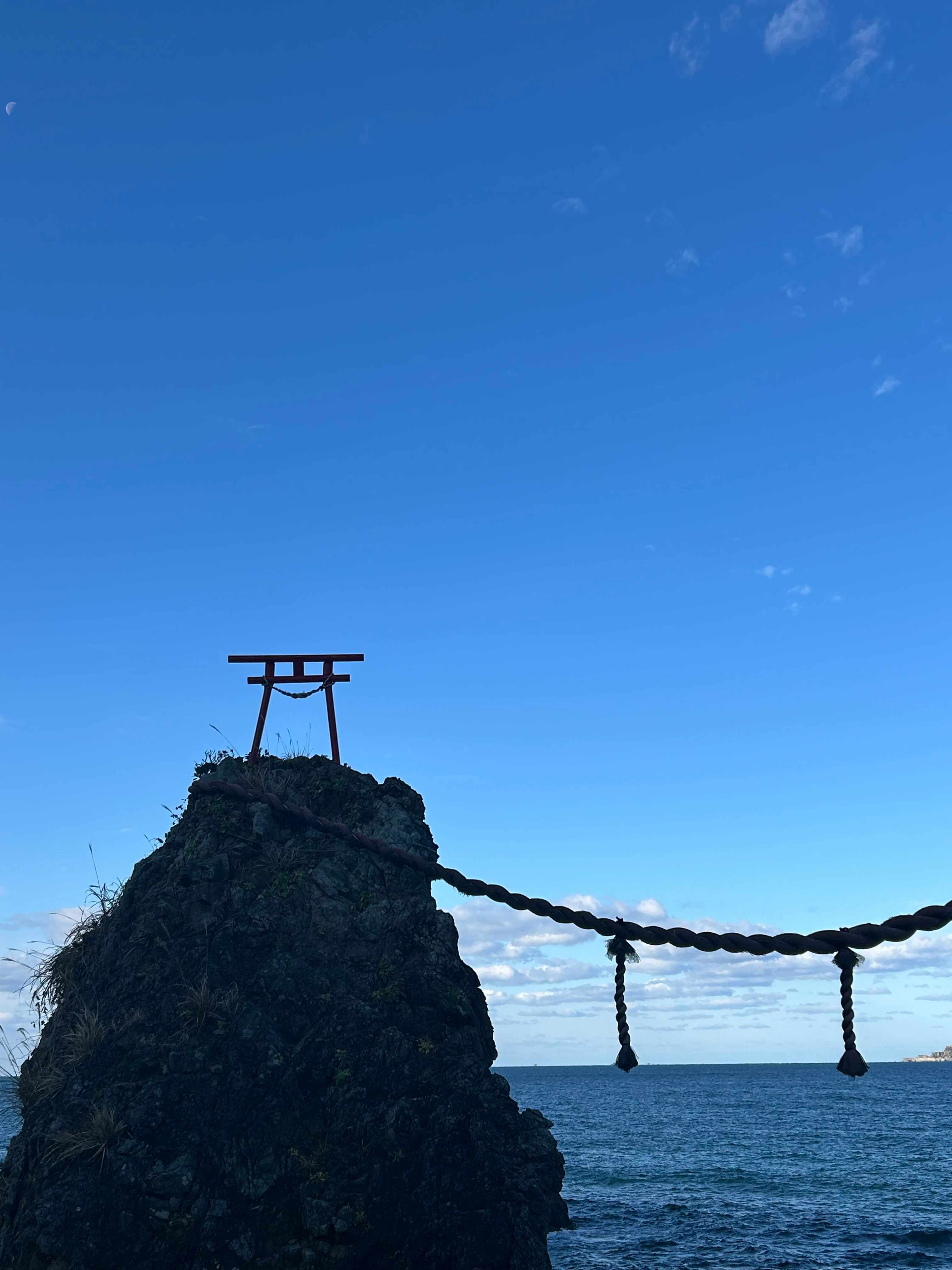 冬の海を望む鳥居と注連縄のある岩場