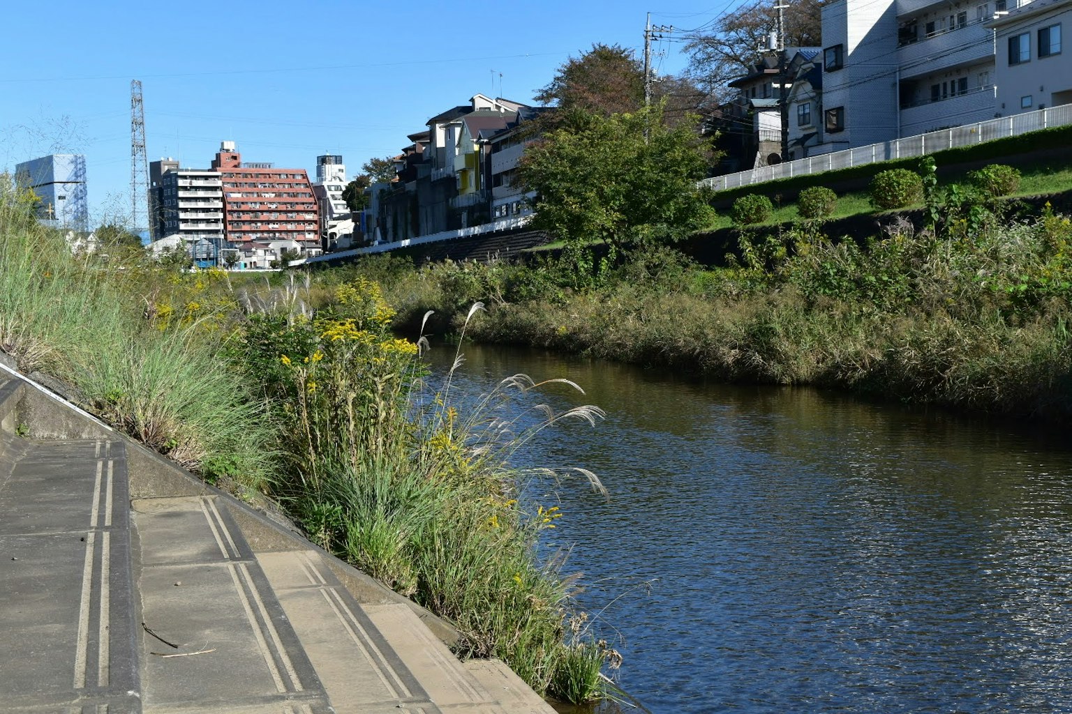 Urban landscape with greenery along a river and buildings in the background
