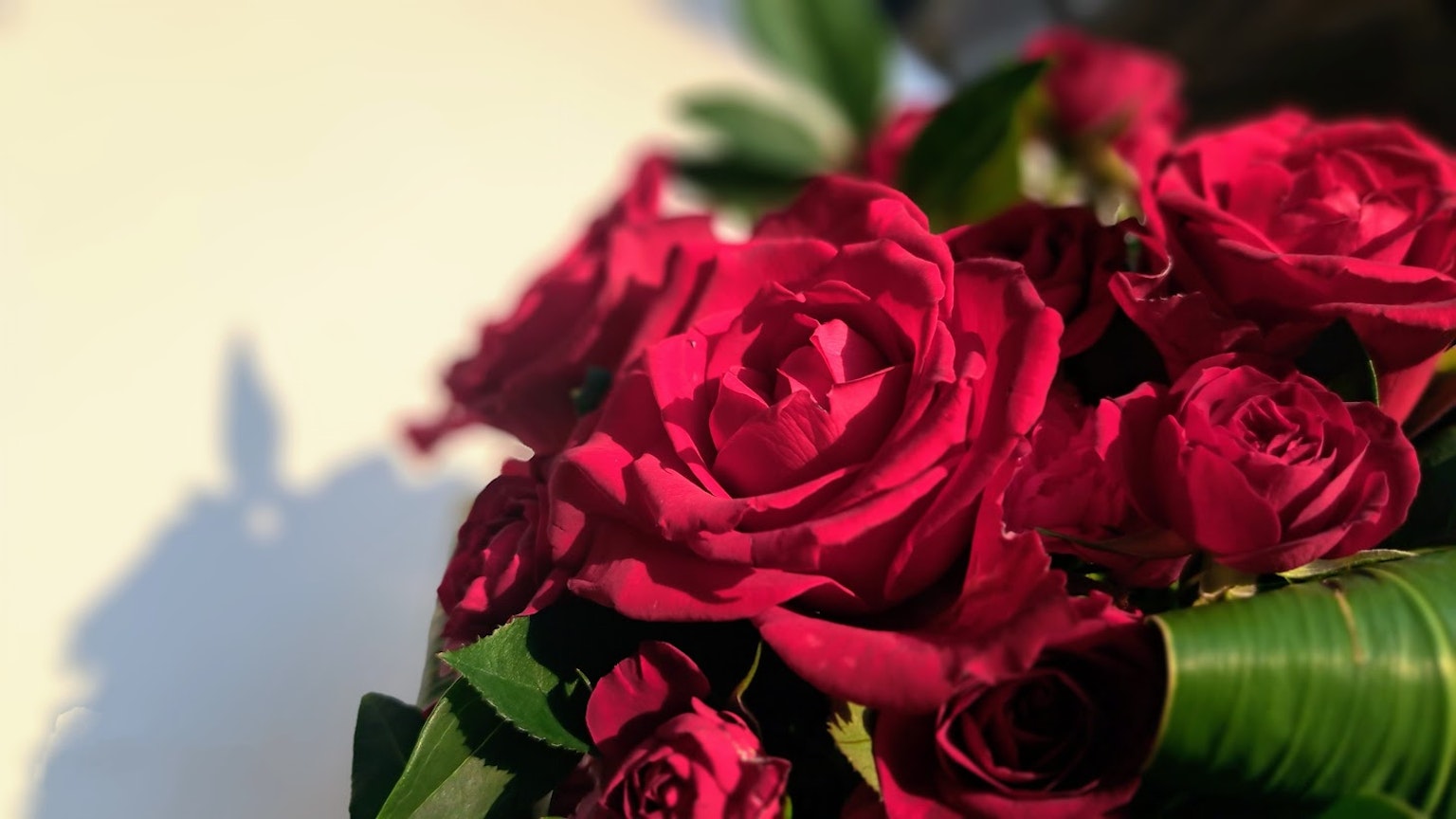 Bouquet vibrant de roses rouges avec des feuilles vertes