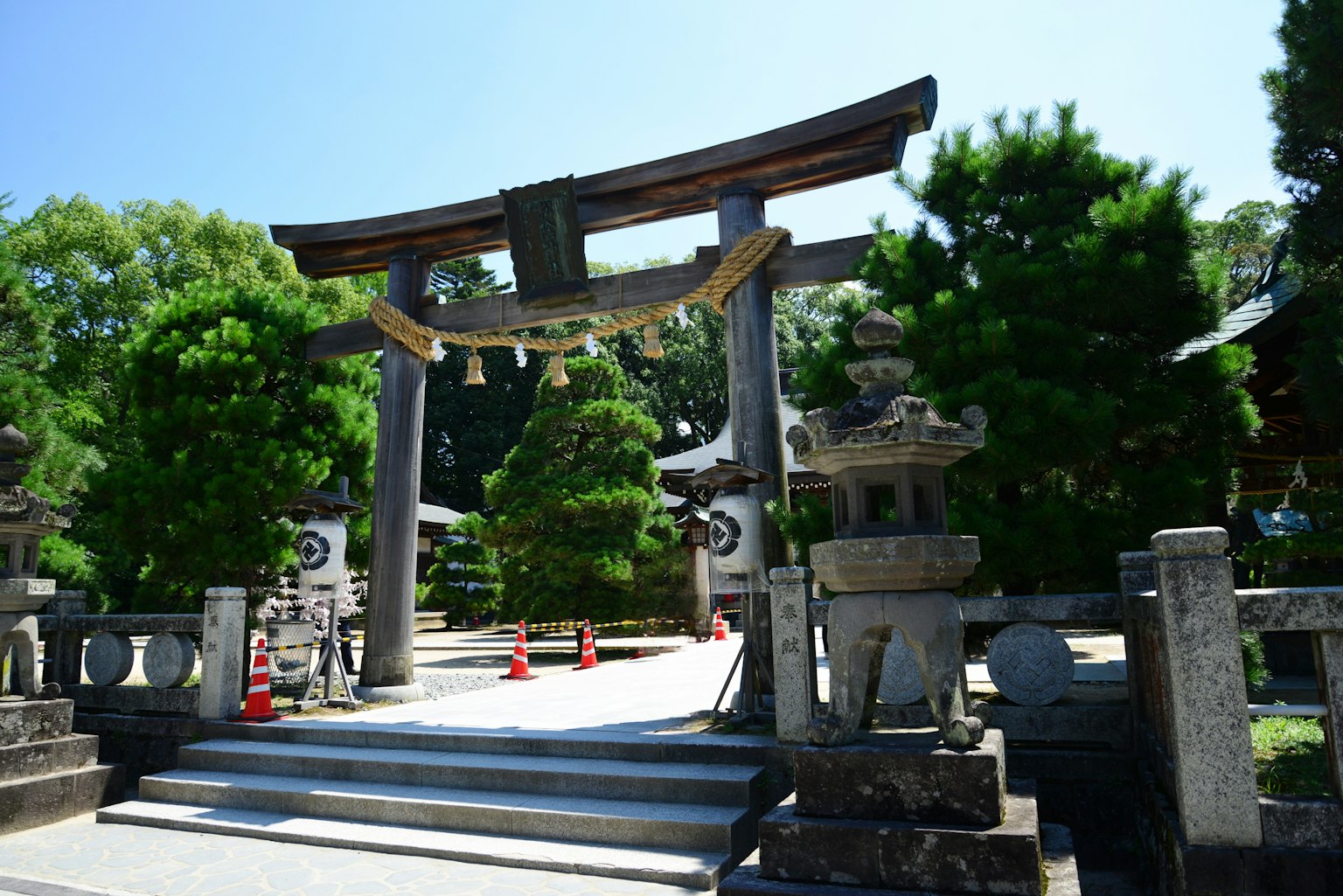 Puerta torii y faroles de piedra en un santuario rodeado de vegetación